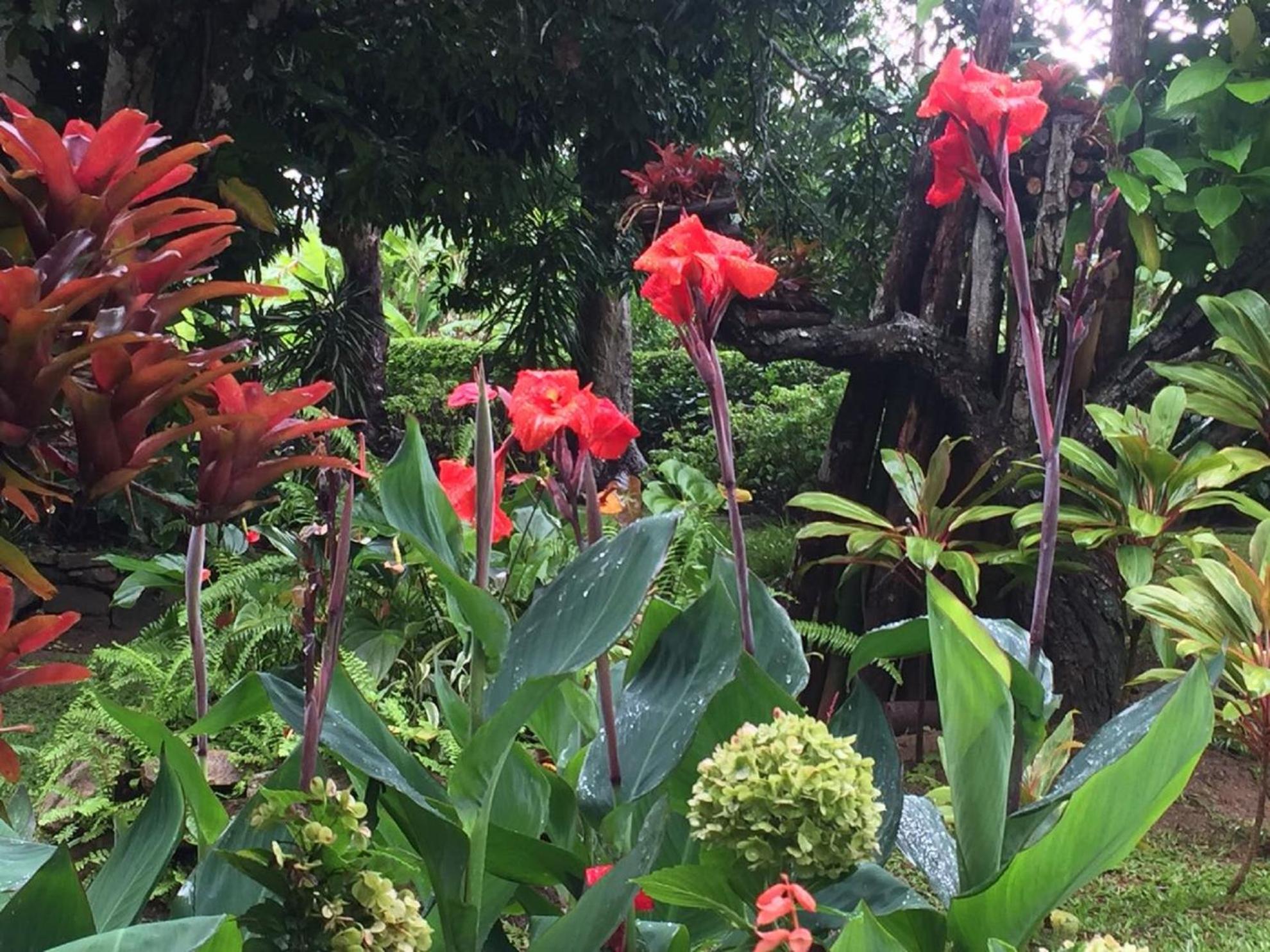 Sitio Alto da Montanha - você em paz com a natureza