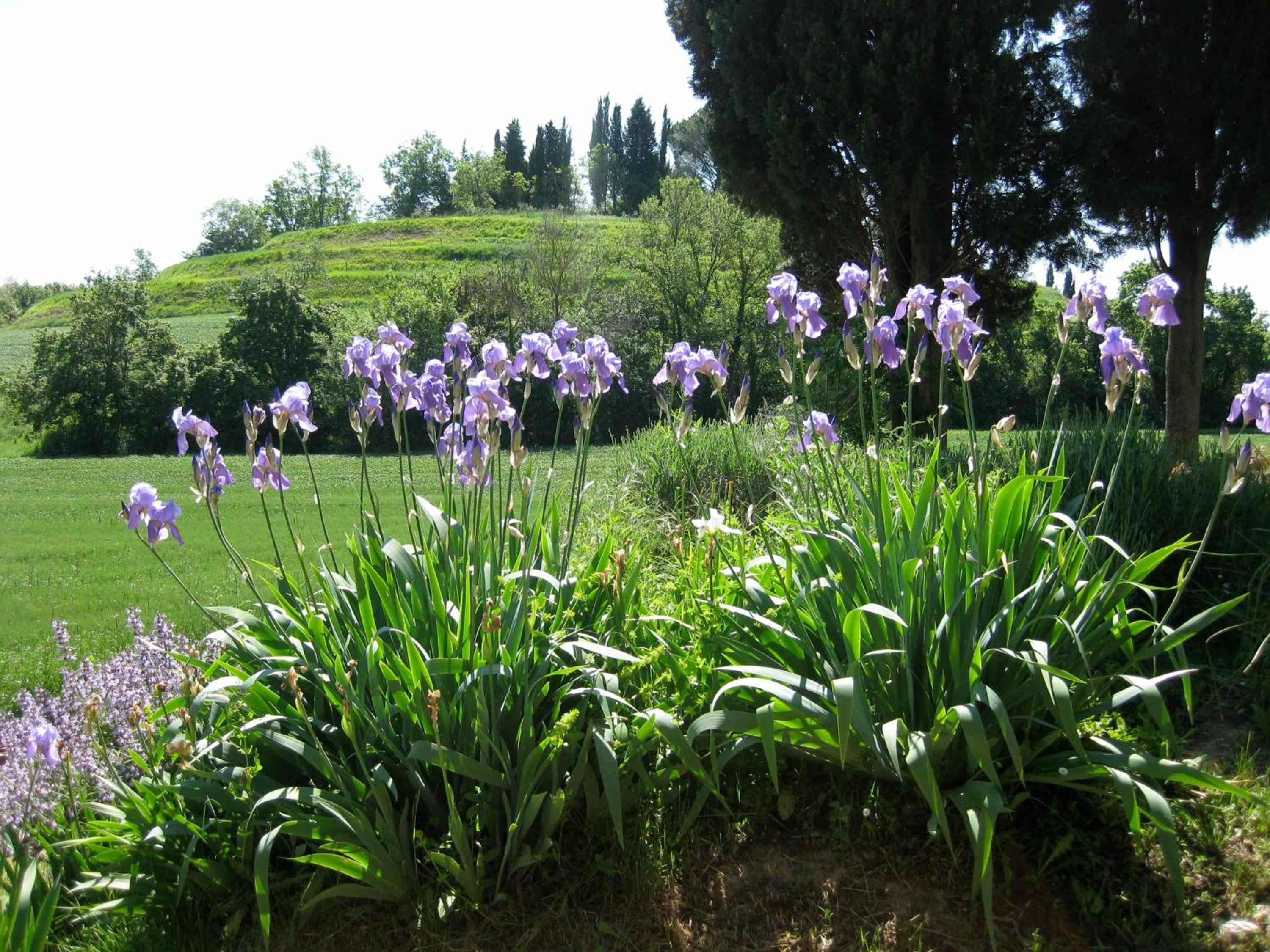 Photo 49