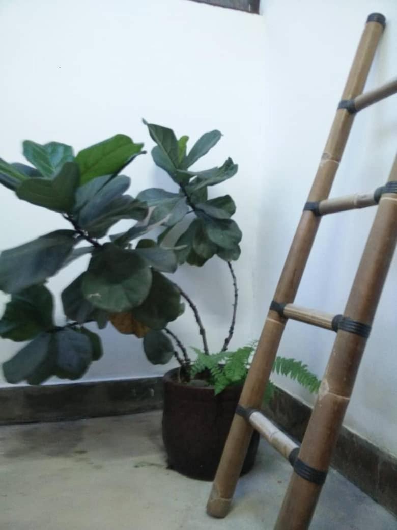 Photo 54