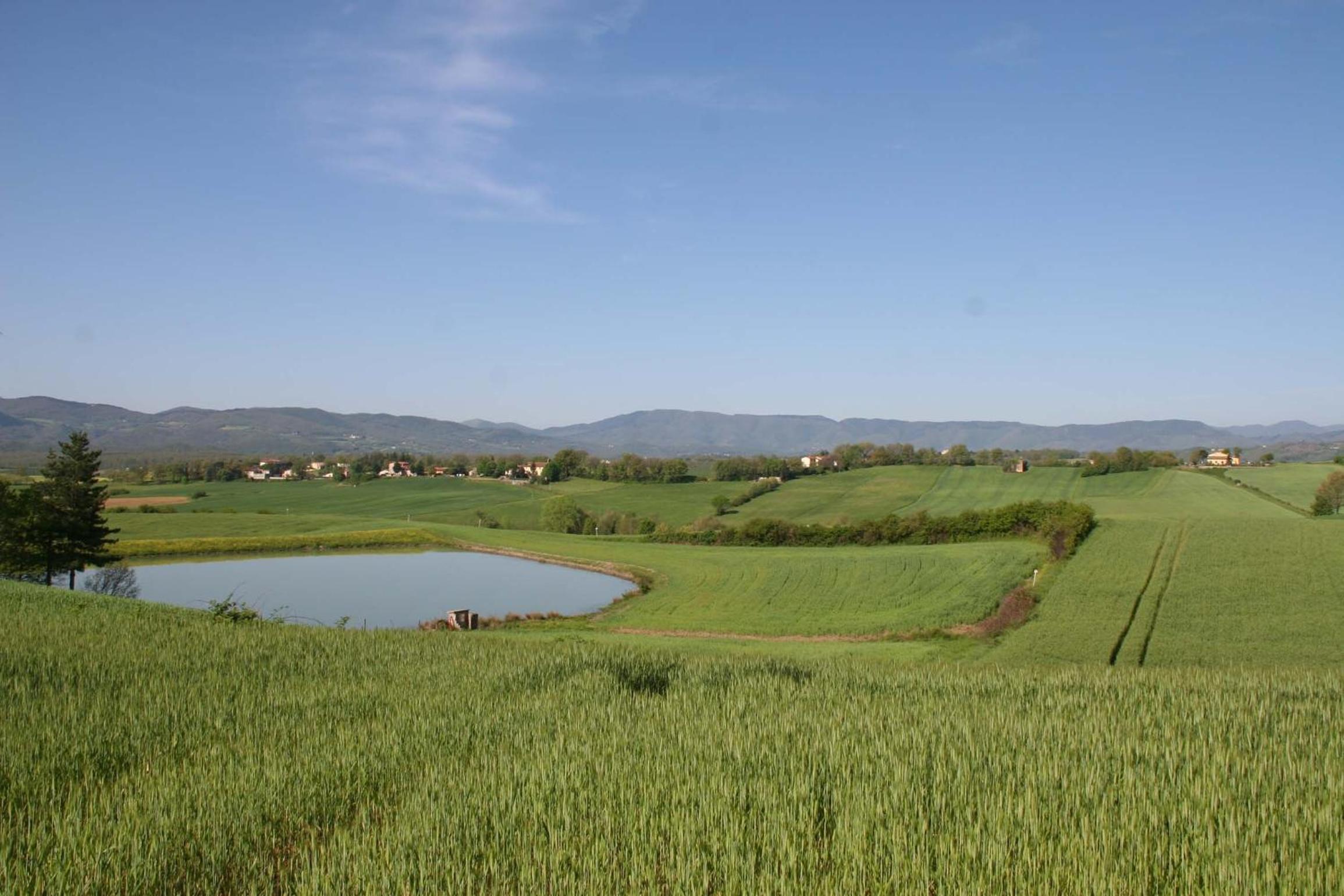 Il Nido di Gabbiano