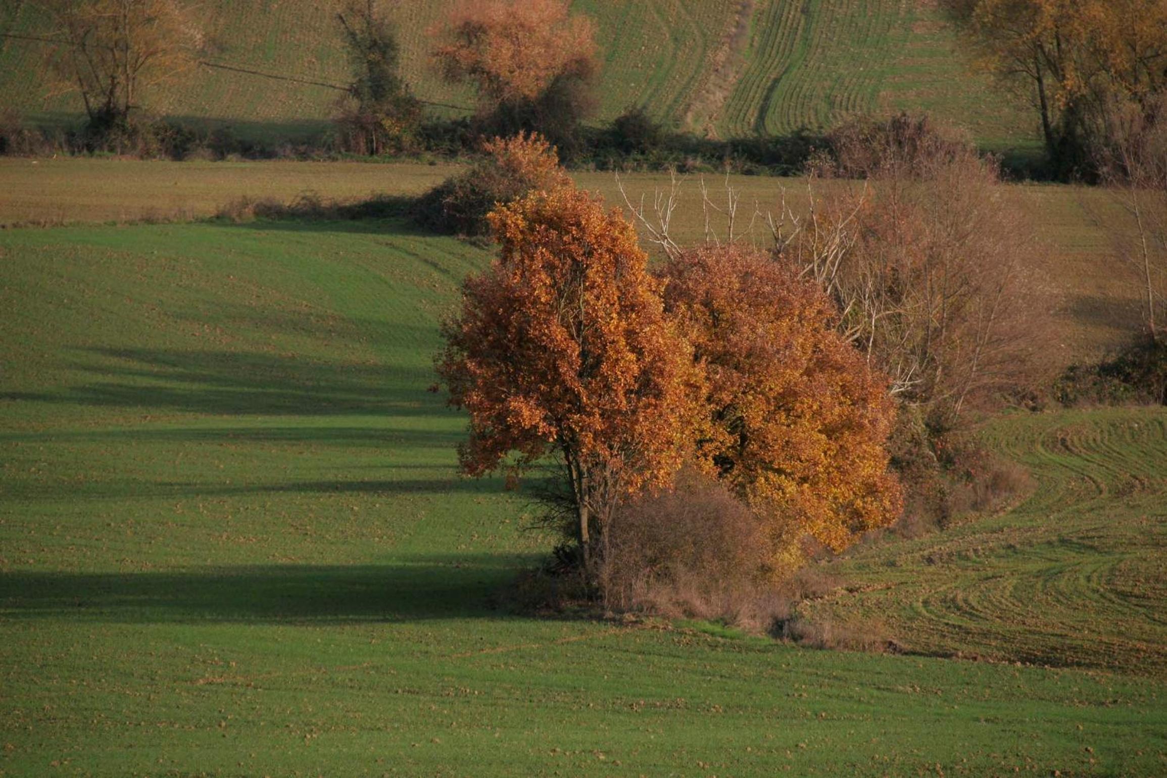 Il Nido di Gabbiano