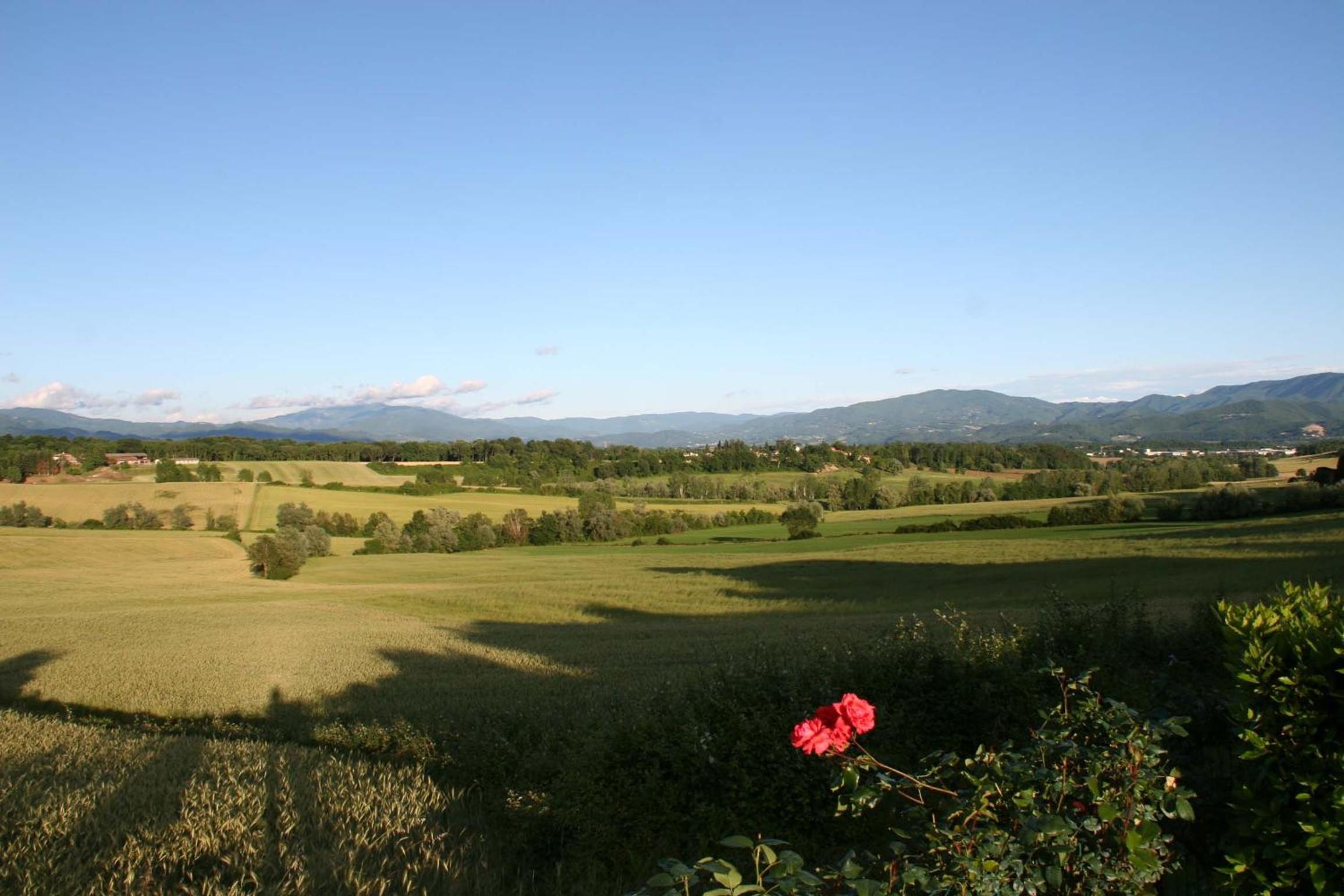 Il Nido di Gabbiano