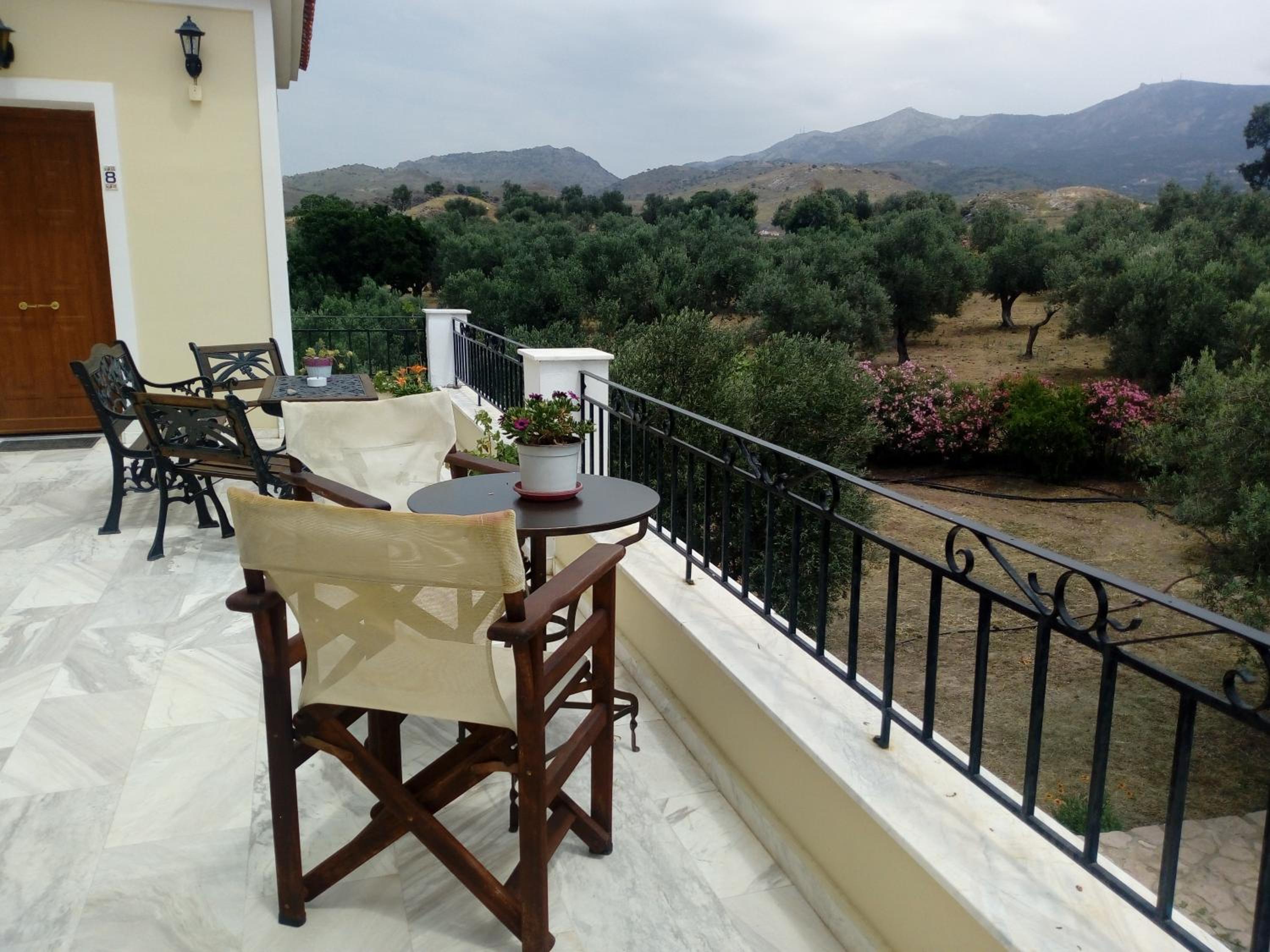 Molivos View Studios
