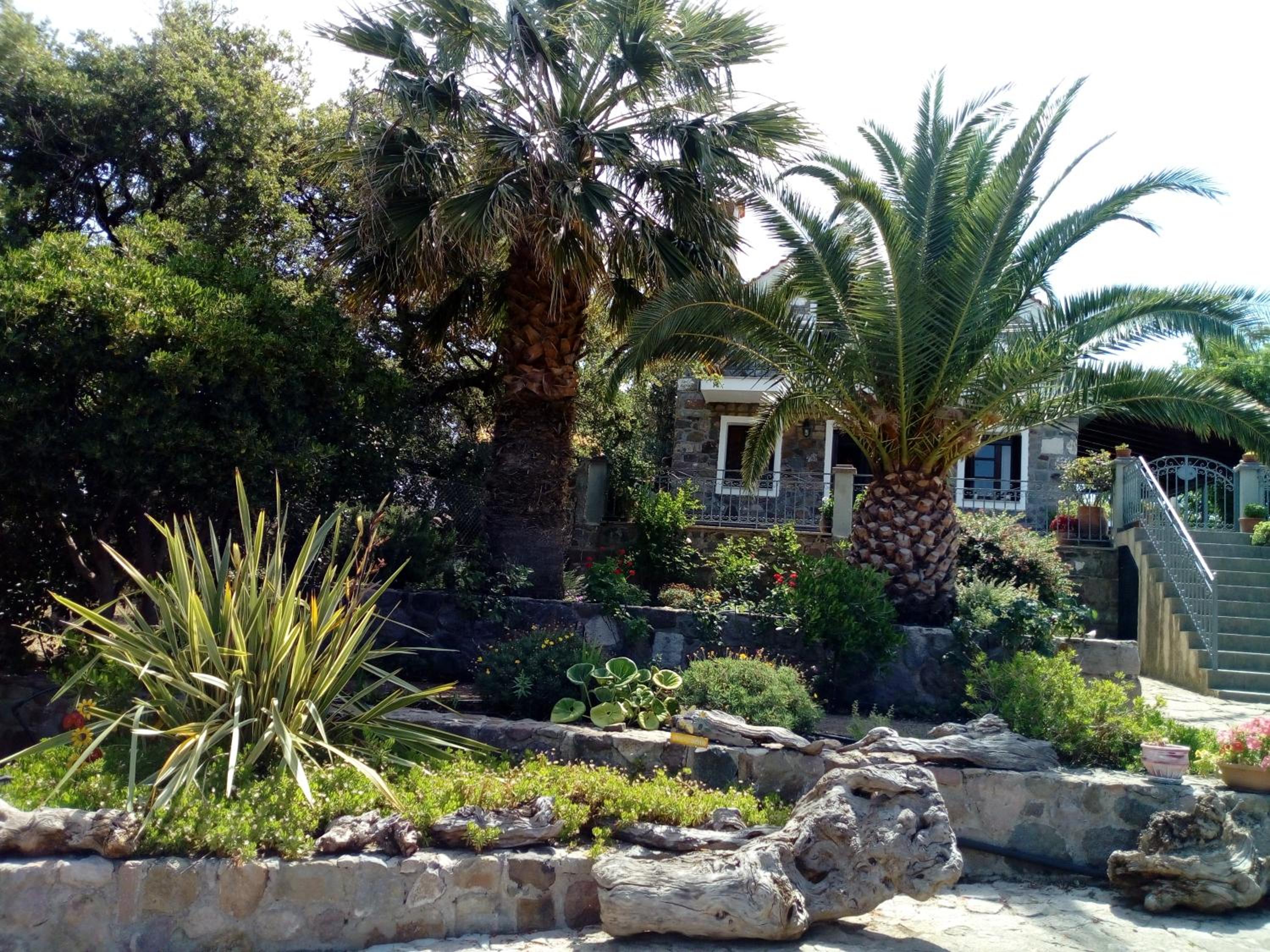 Hotel Molivos View Studios - Image 1