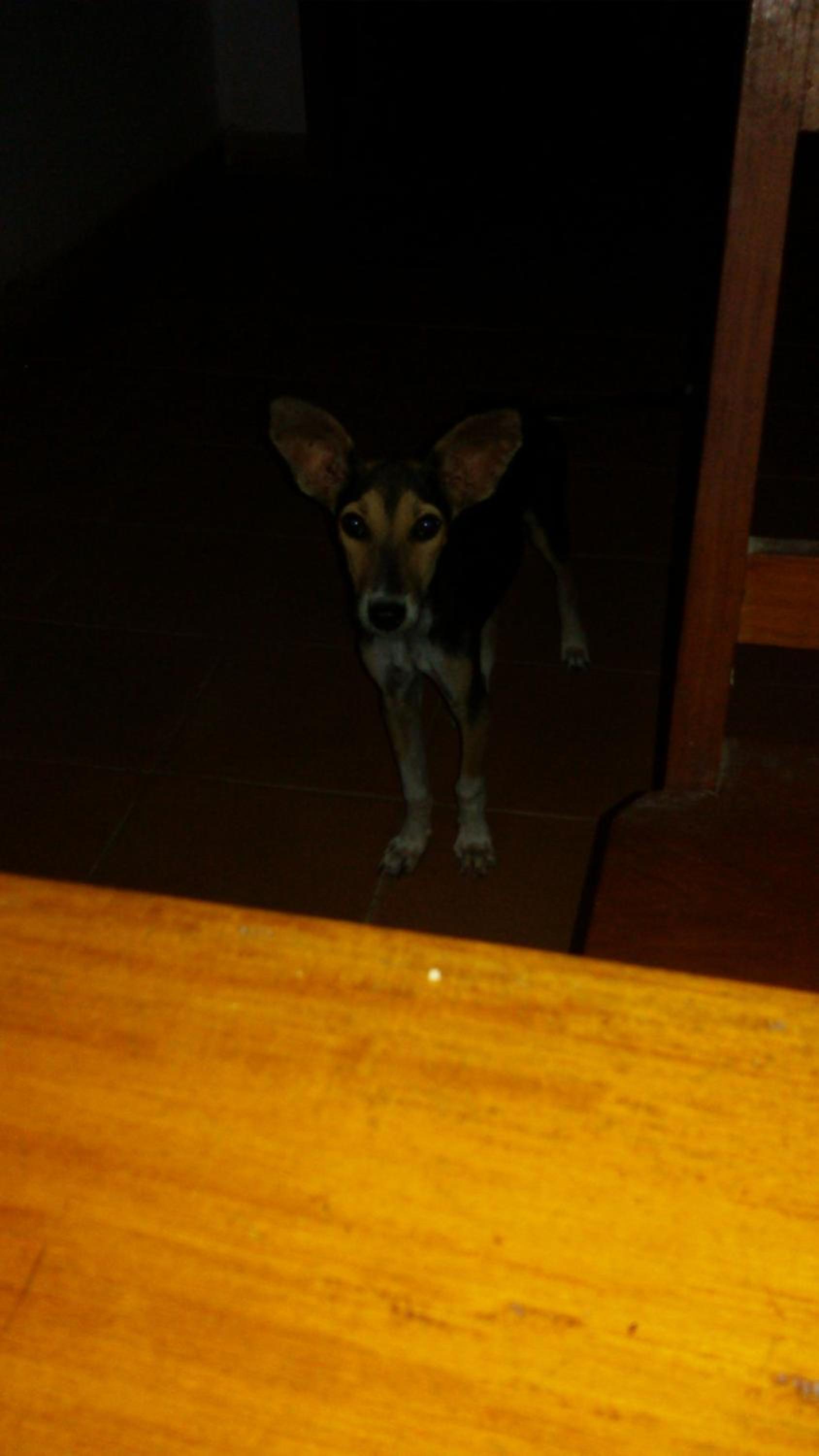 Photo 20