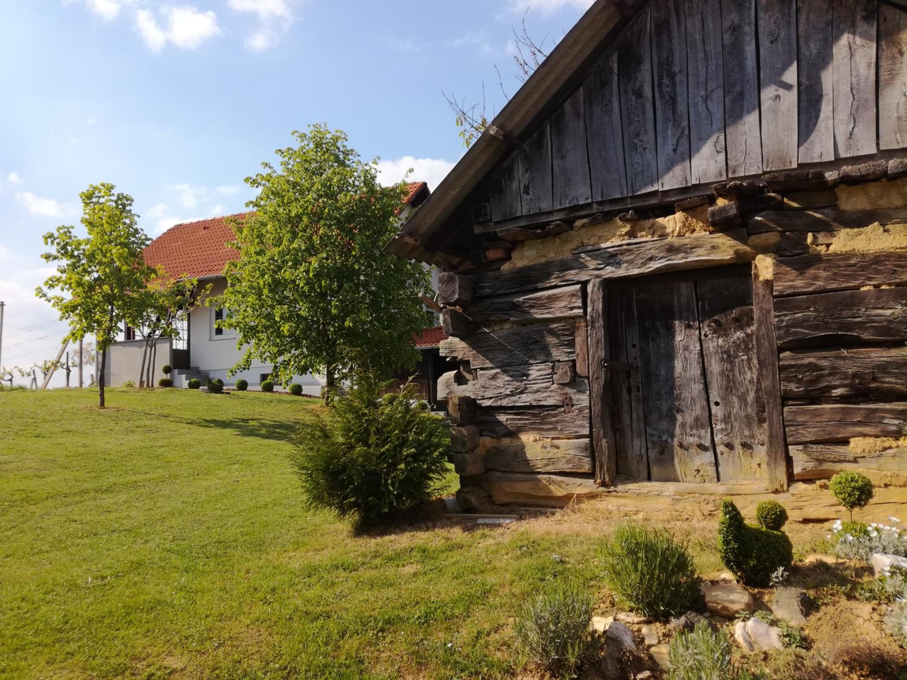 Photo 23