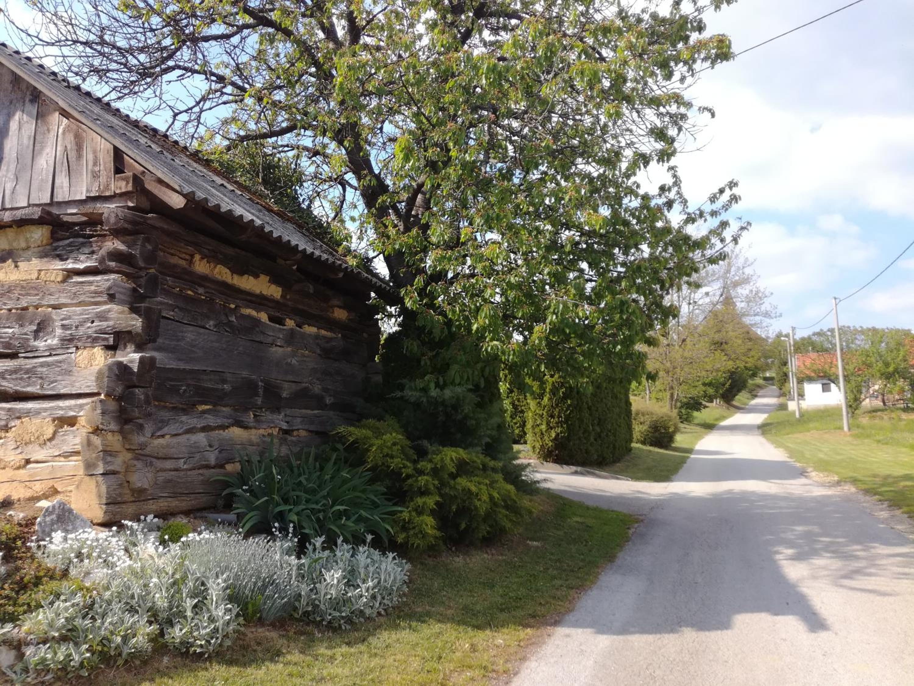 Photo 26