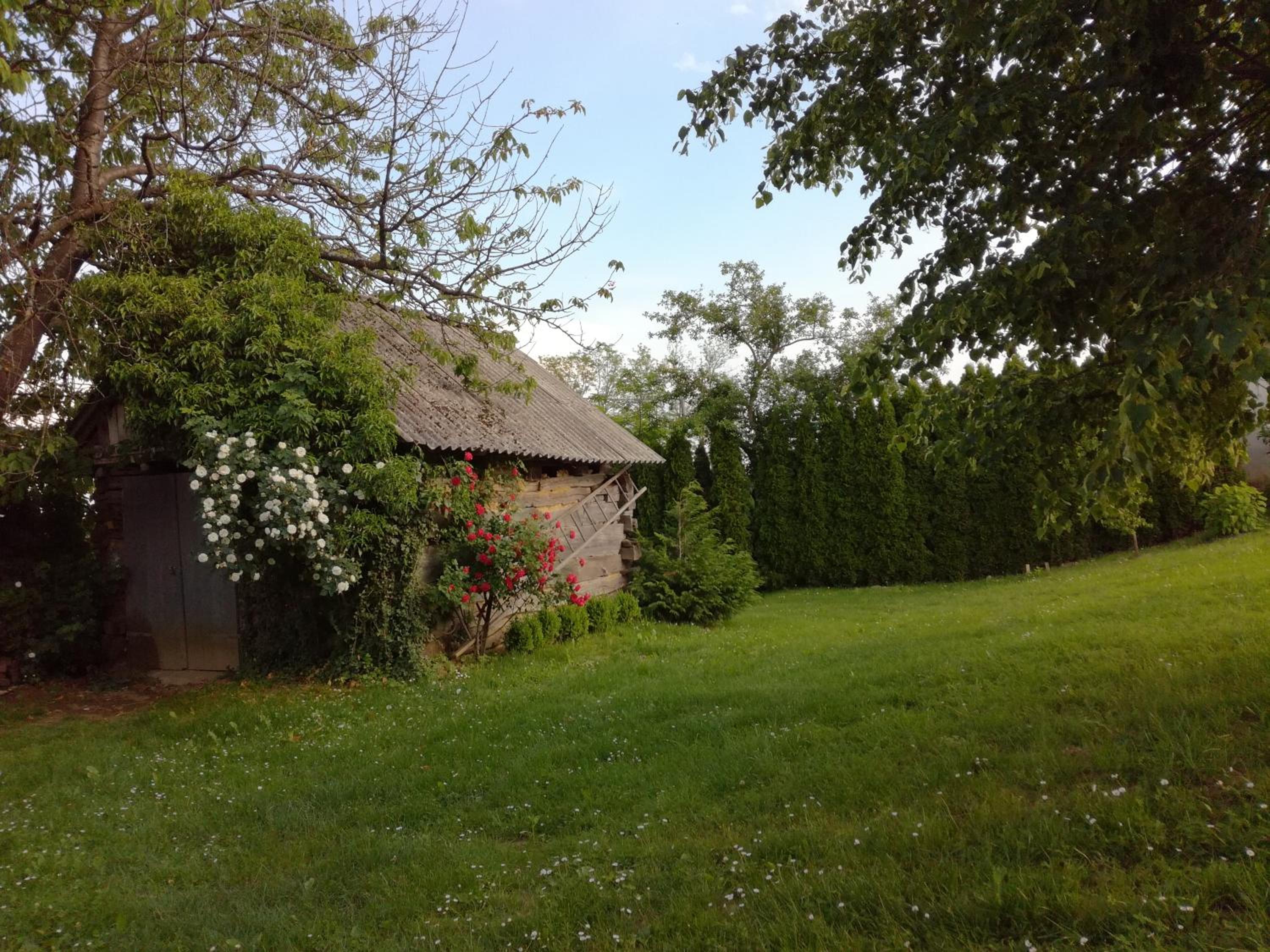 Photo 32