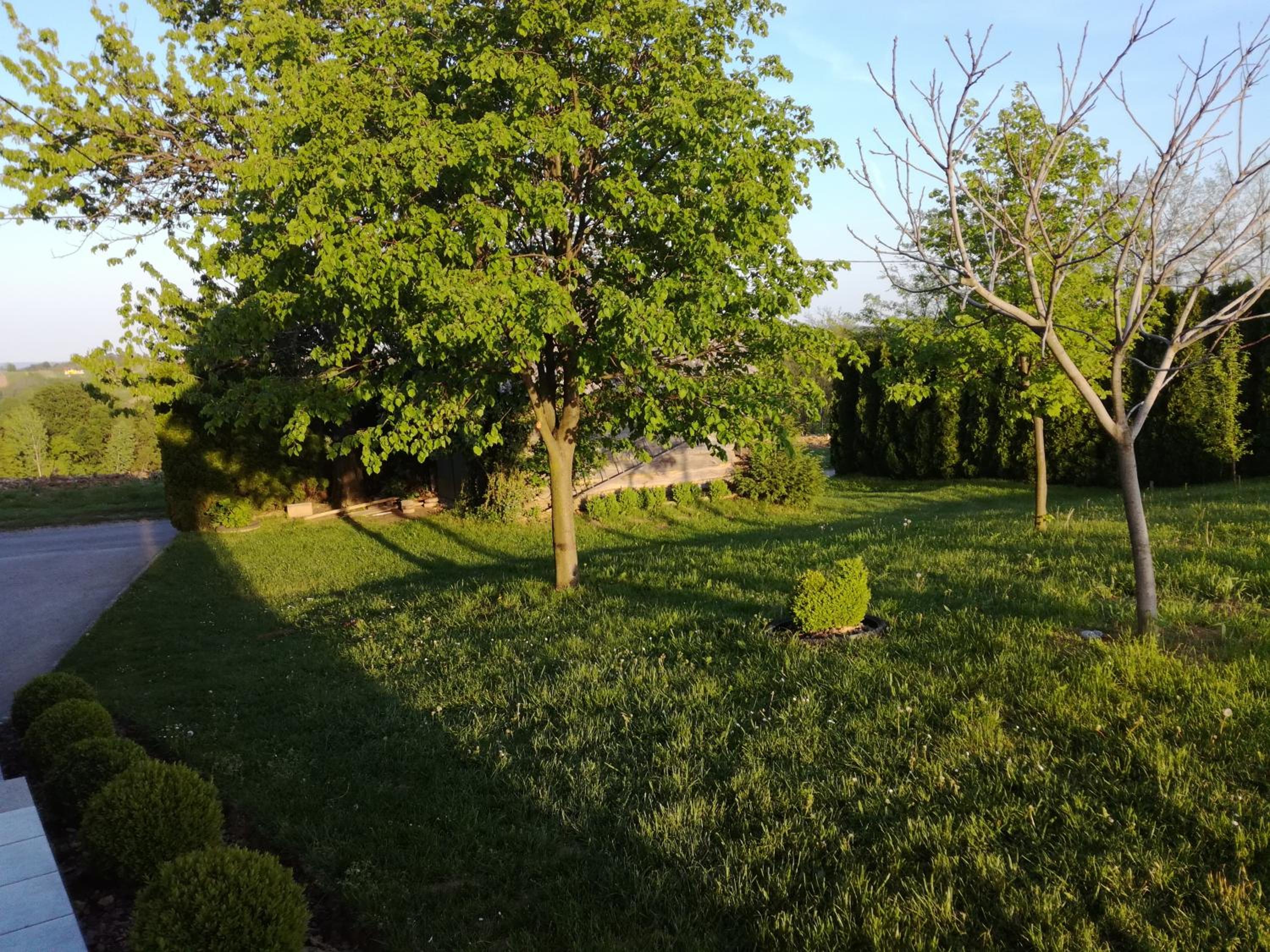 Photo 33