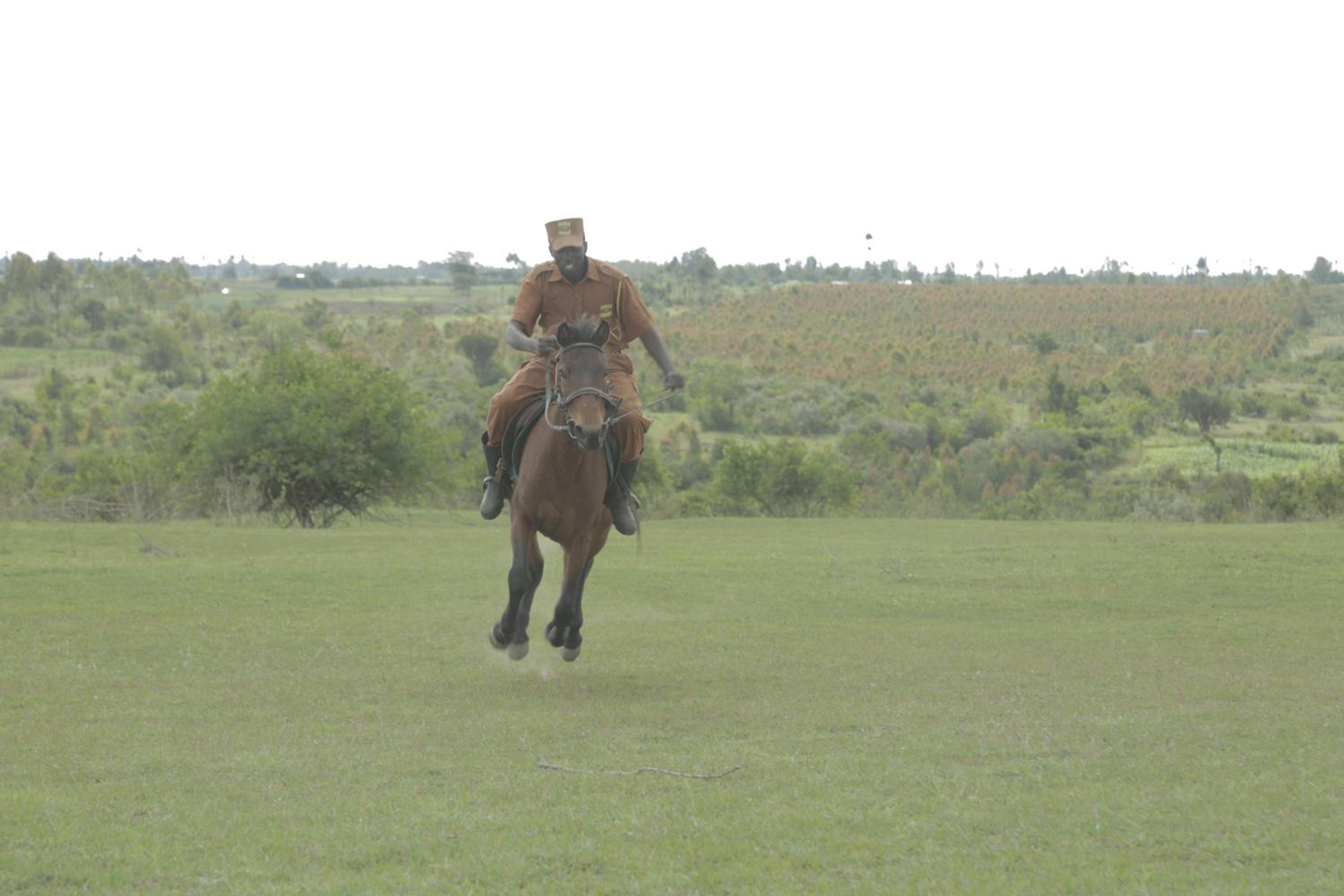 Photo 43