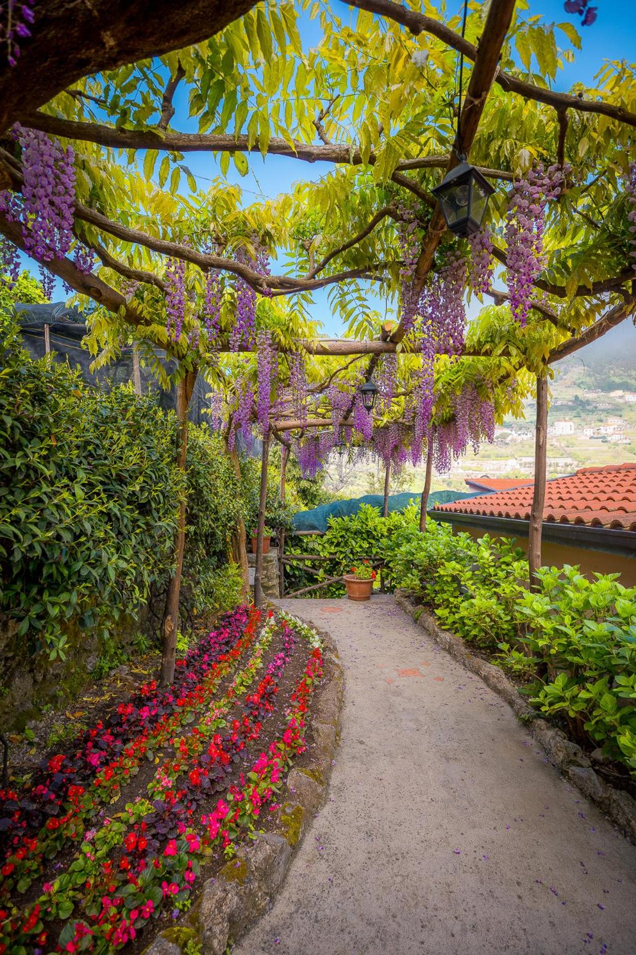 Il Roseto B&B photo 2