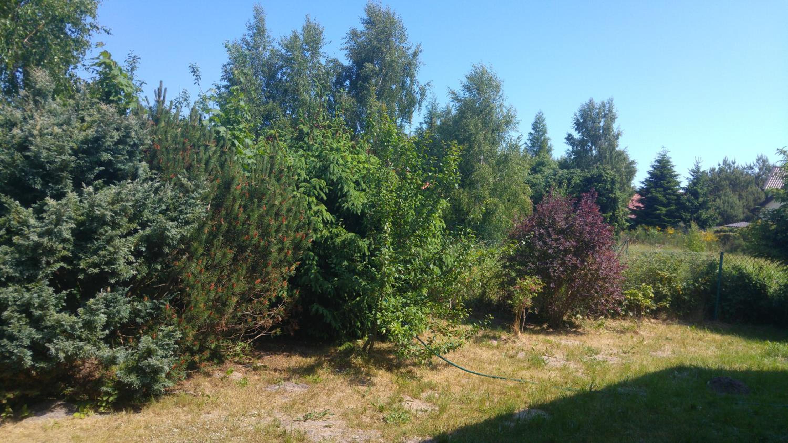 Photo 36