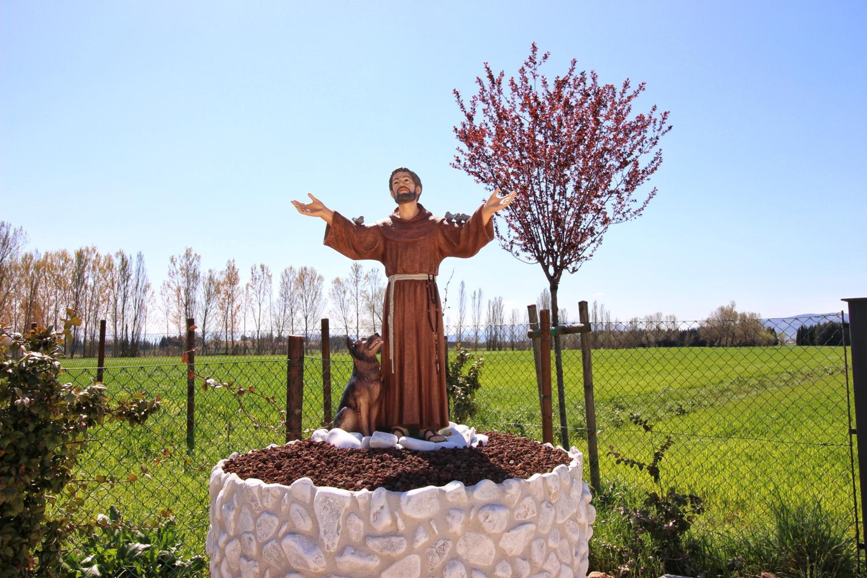 Photo 69