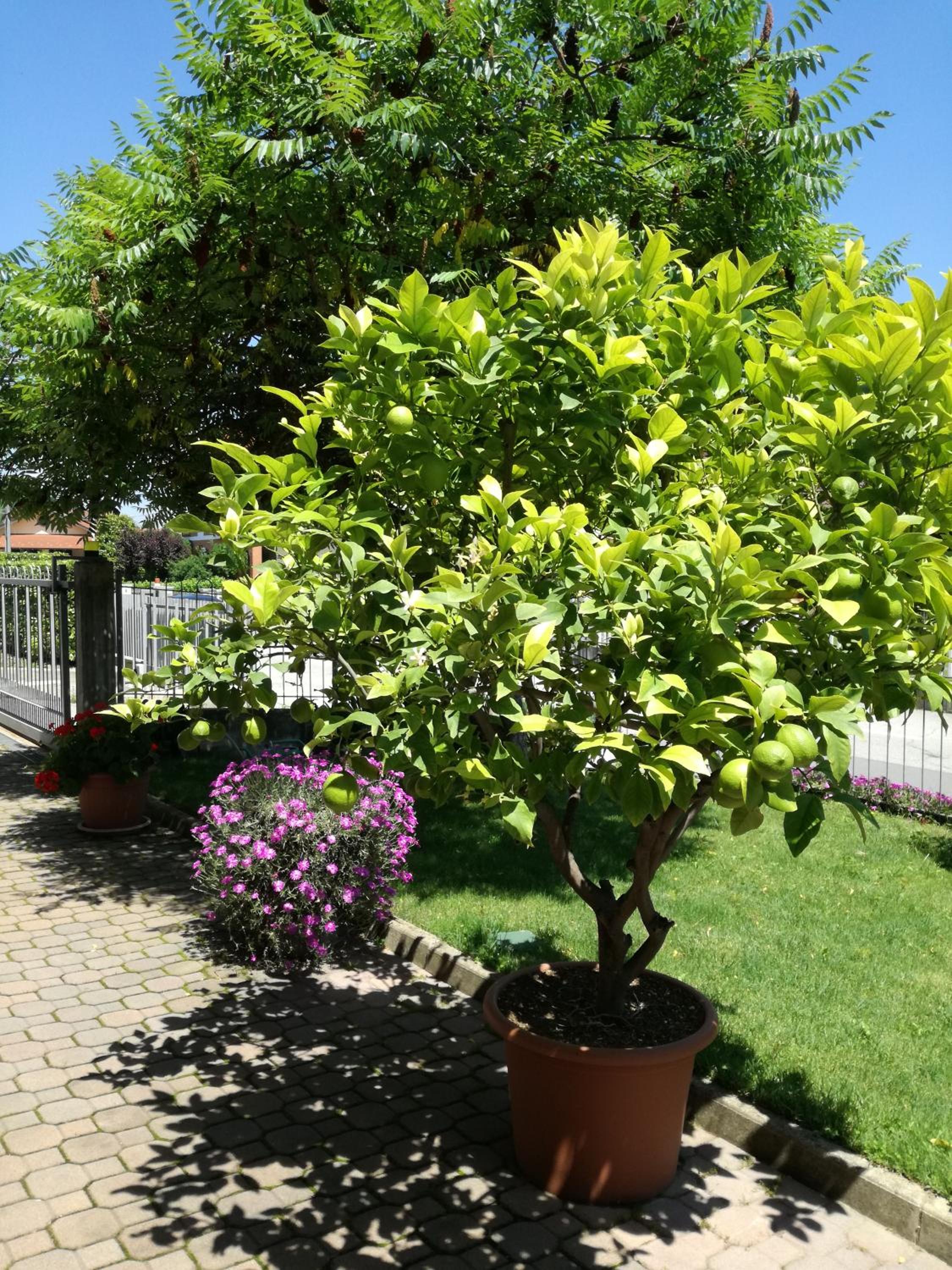 Photo 29