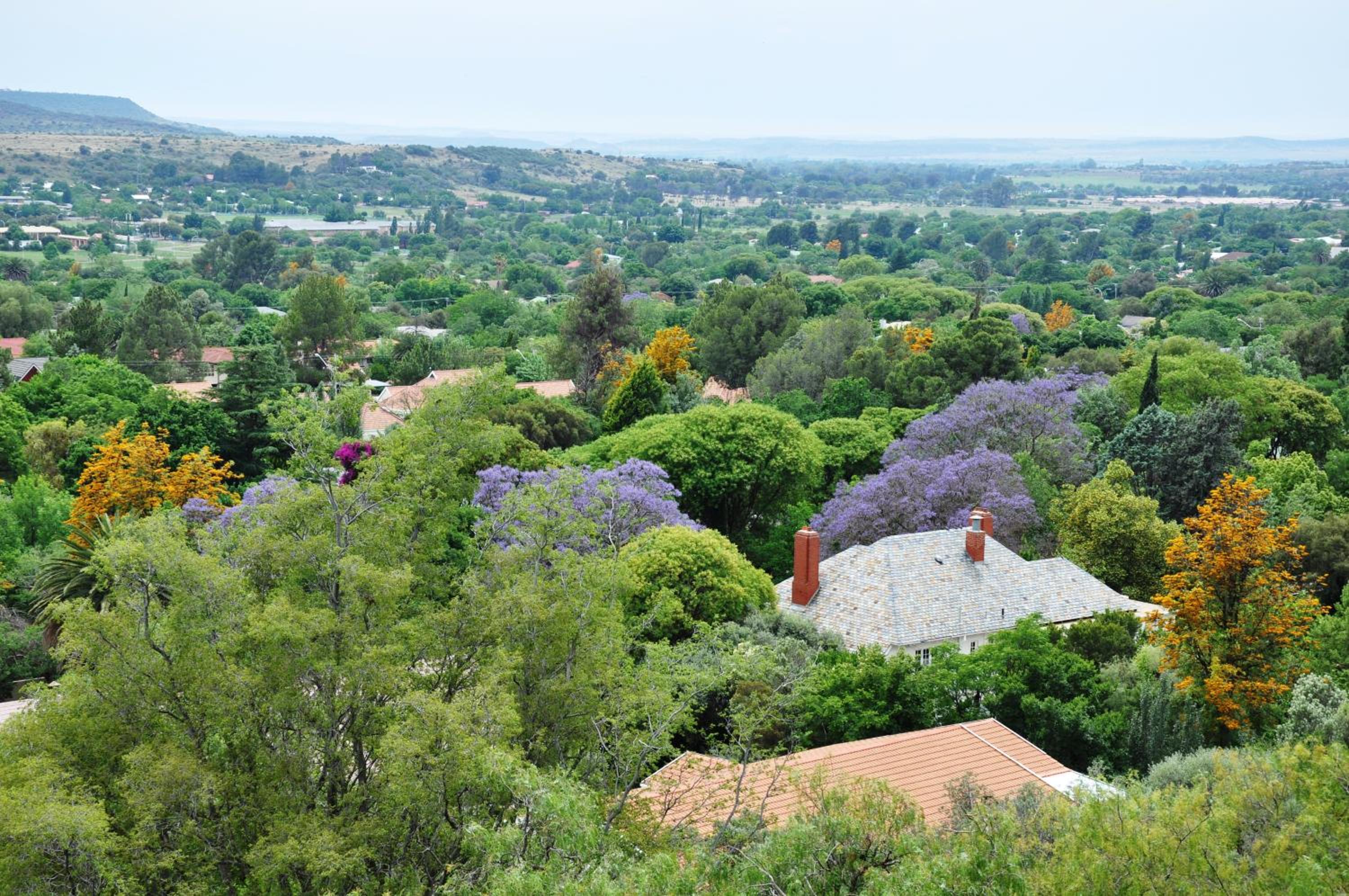 Franklin View Guesthouse