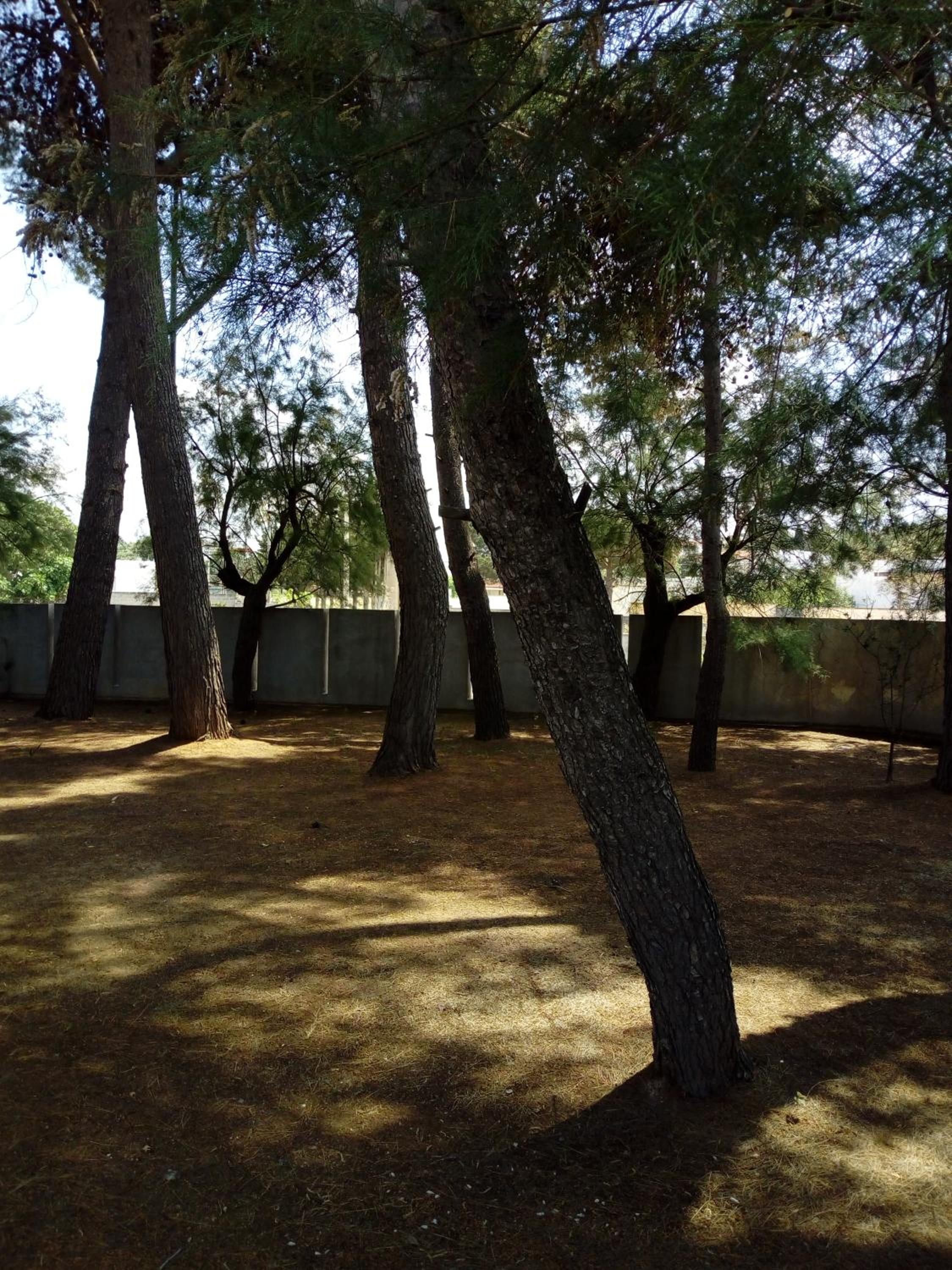 Photo 43
