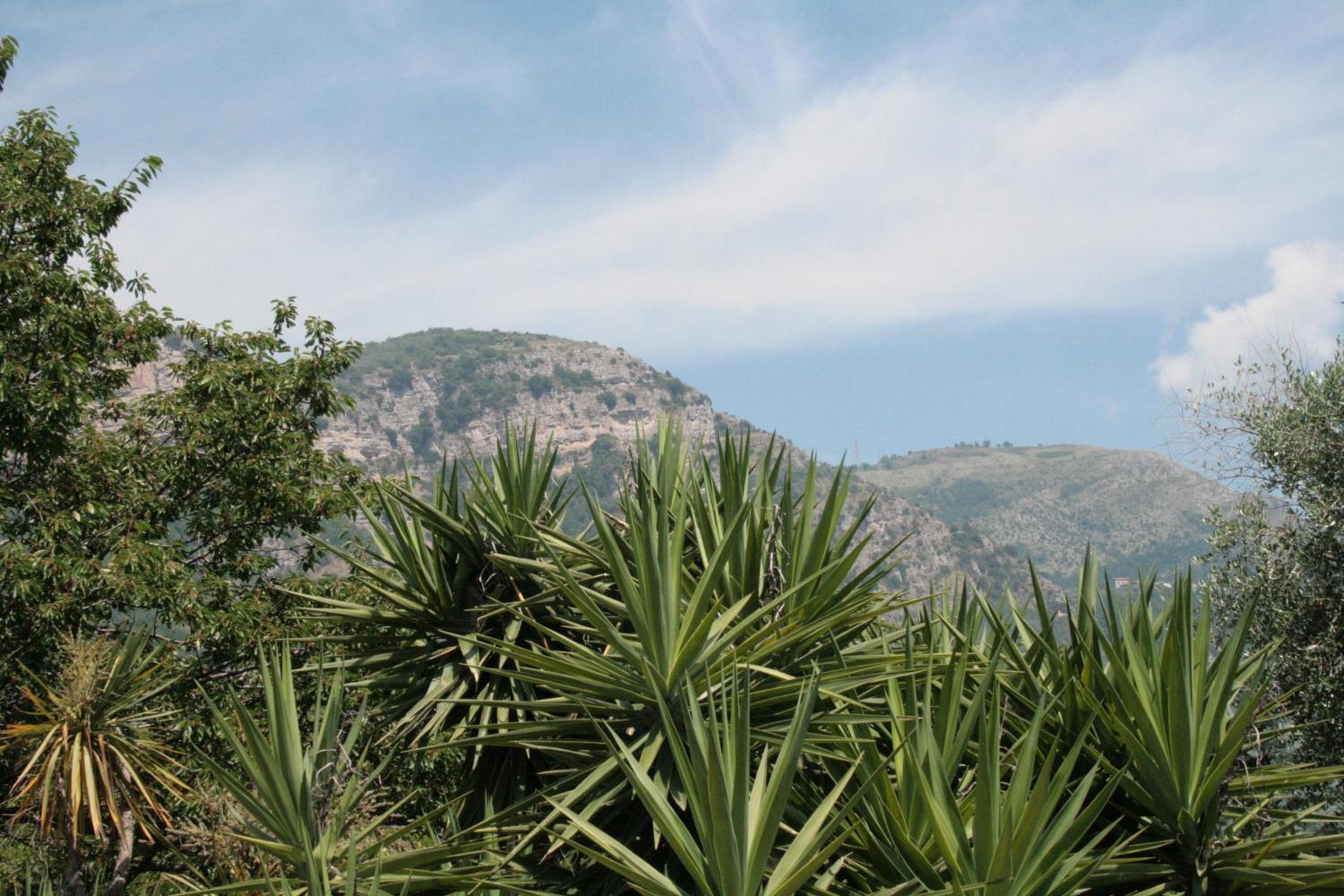La Gaggia Guest House view 5