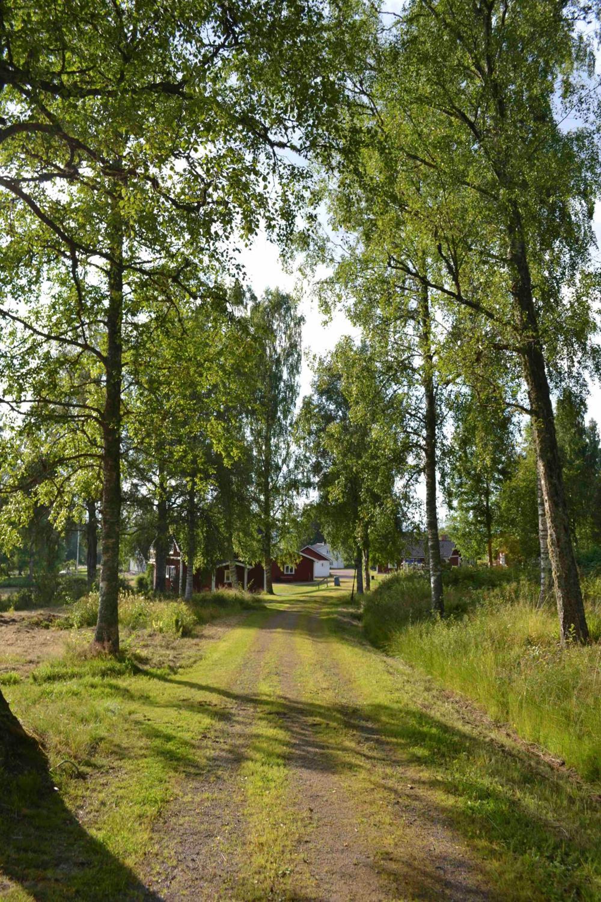 Photo 41
