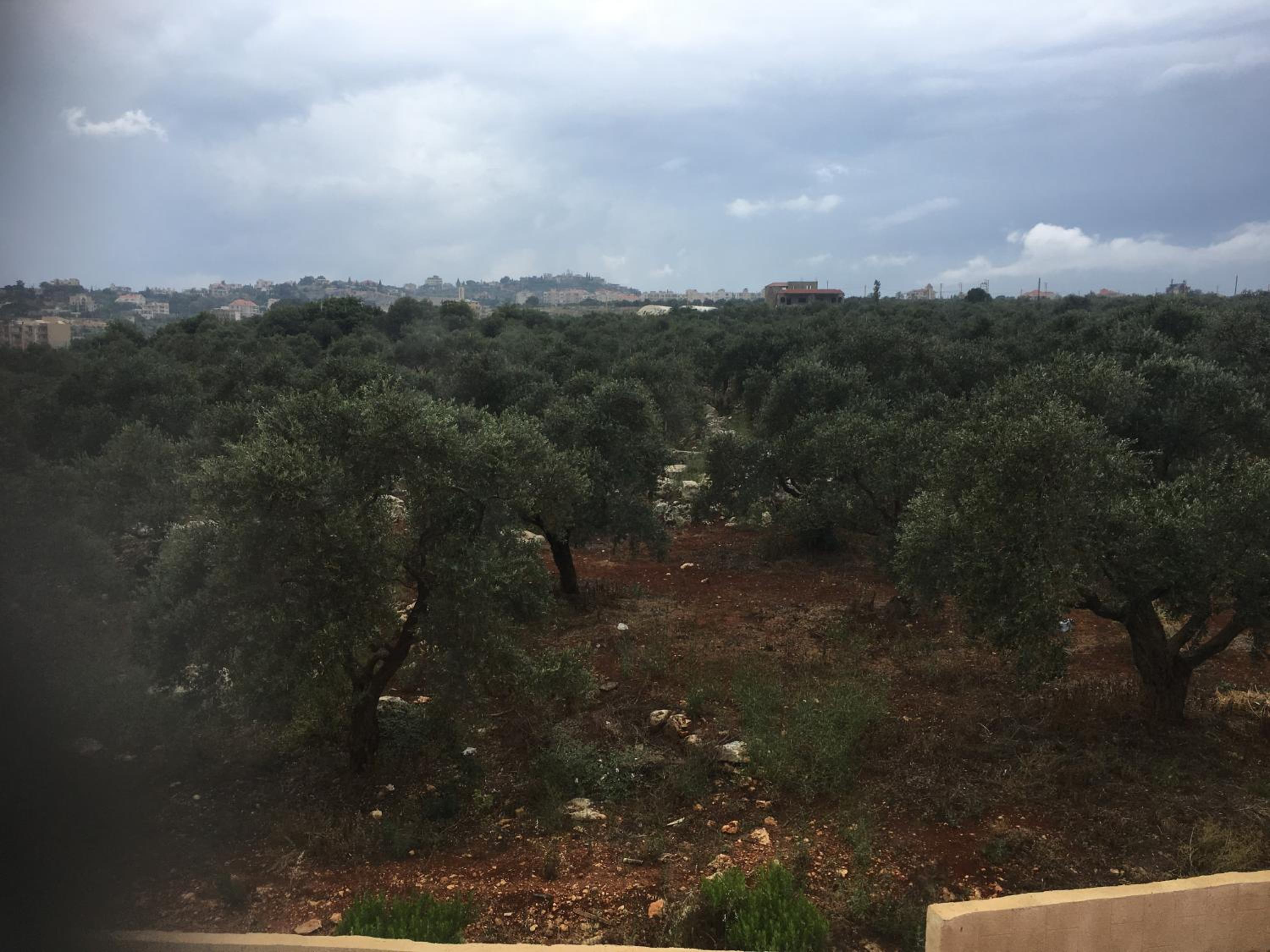 Koura Nahla Apartment