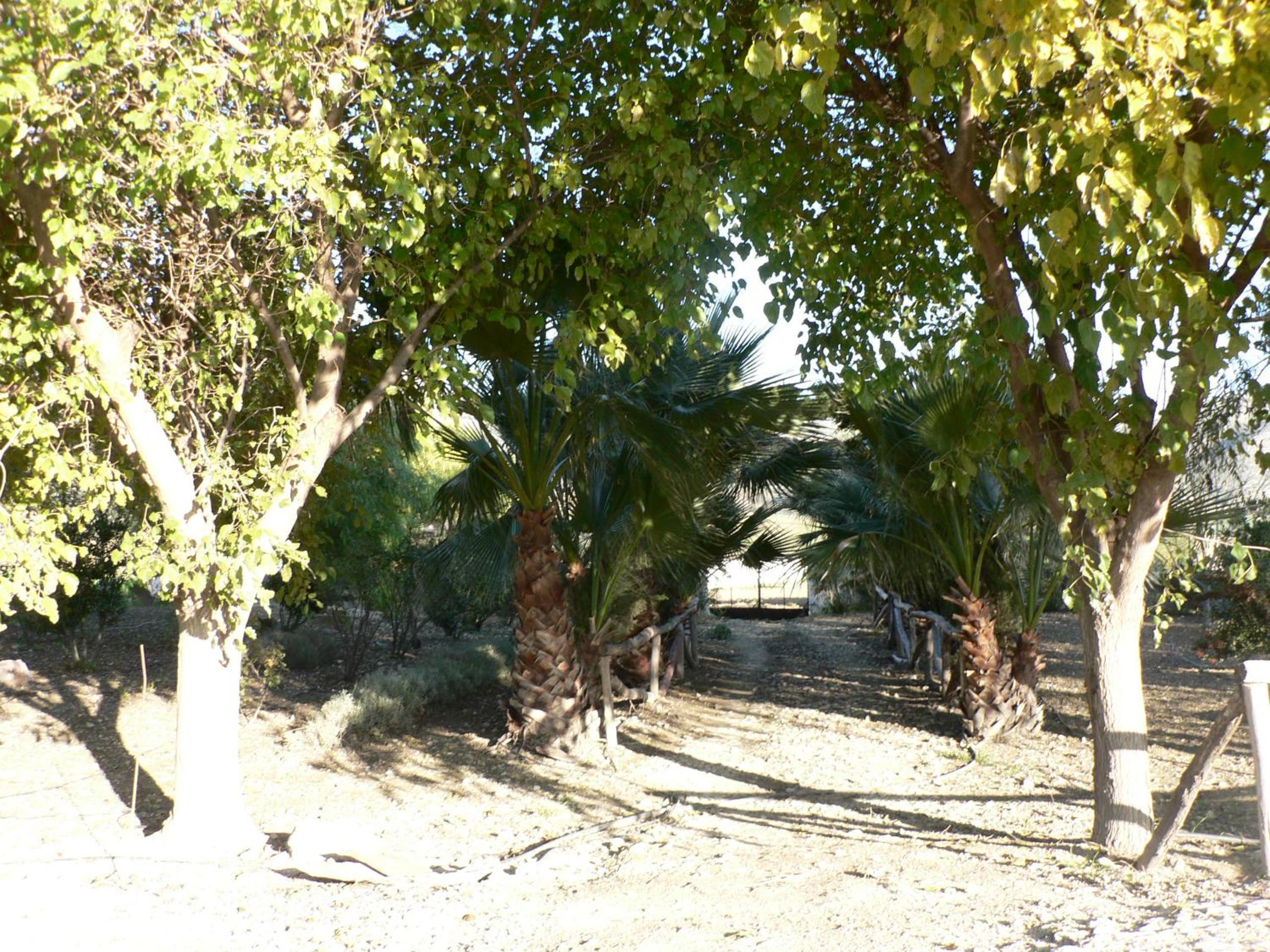 Photo 44