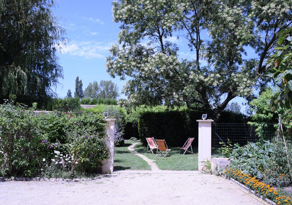 Photo 20