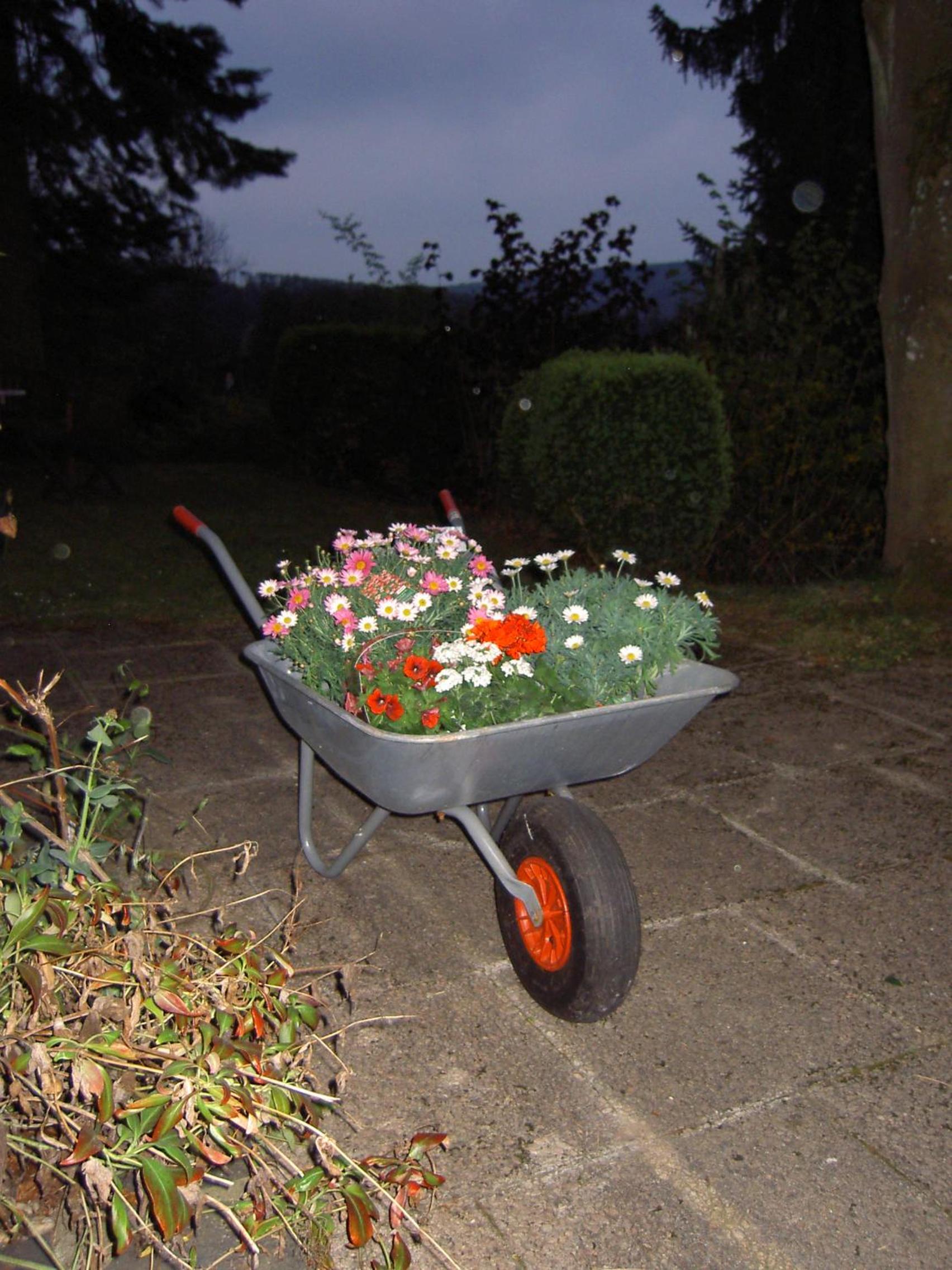 Photo 35