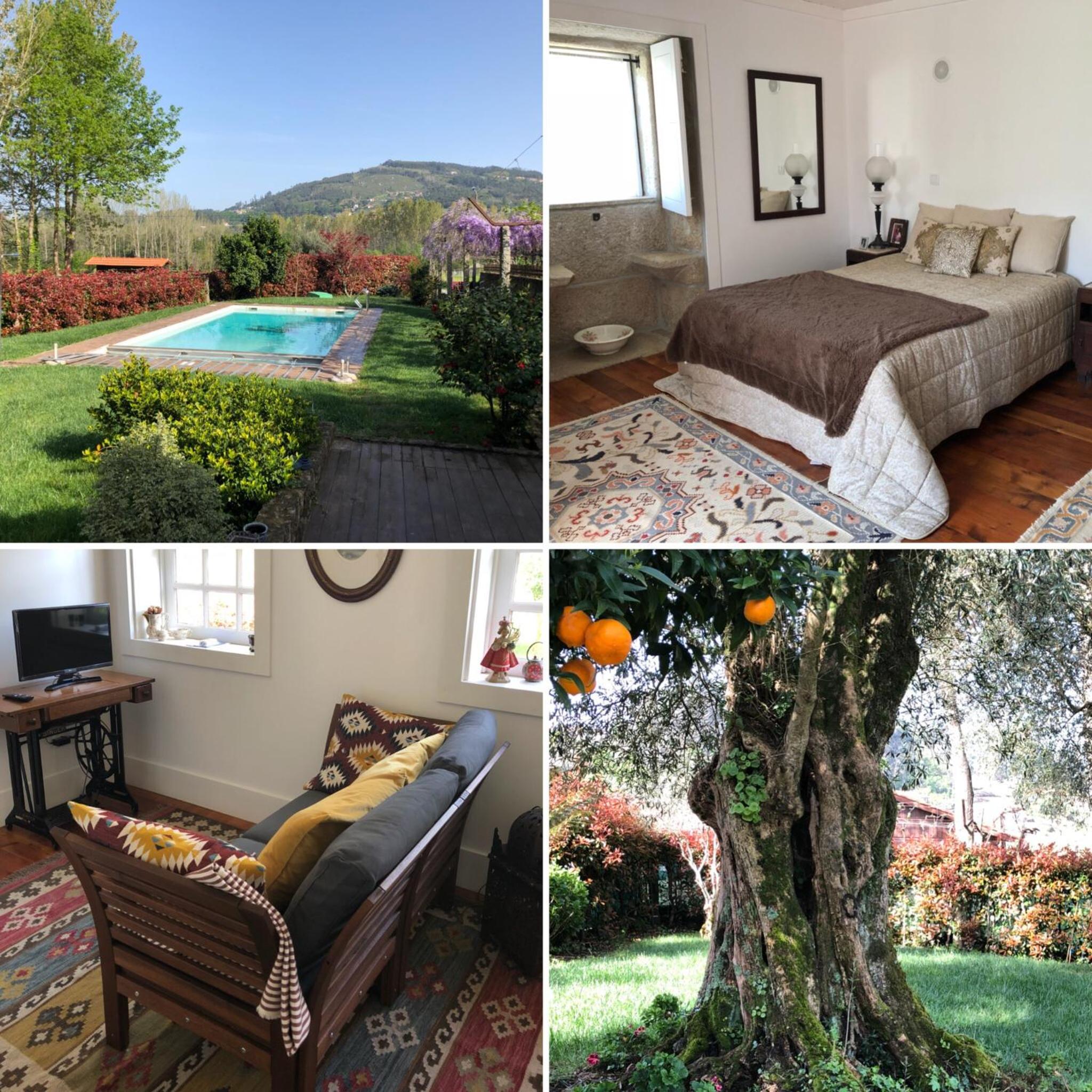 The Olive Tree Country Home view 5