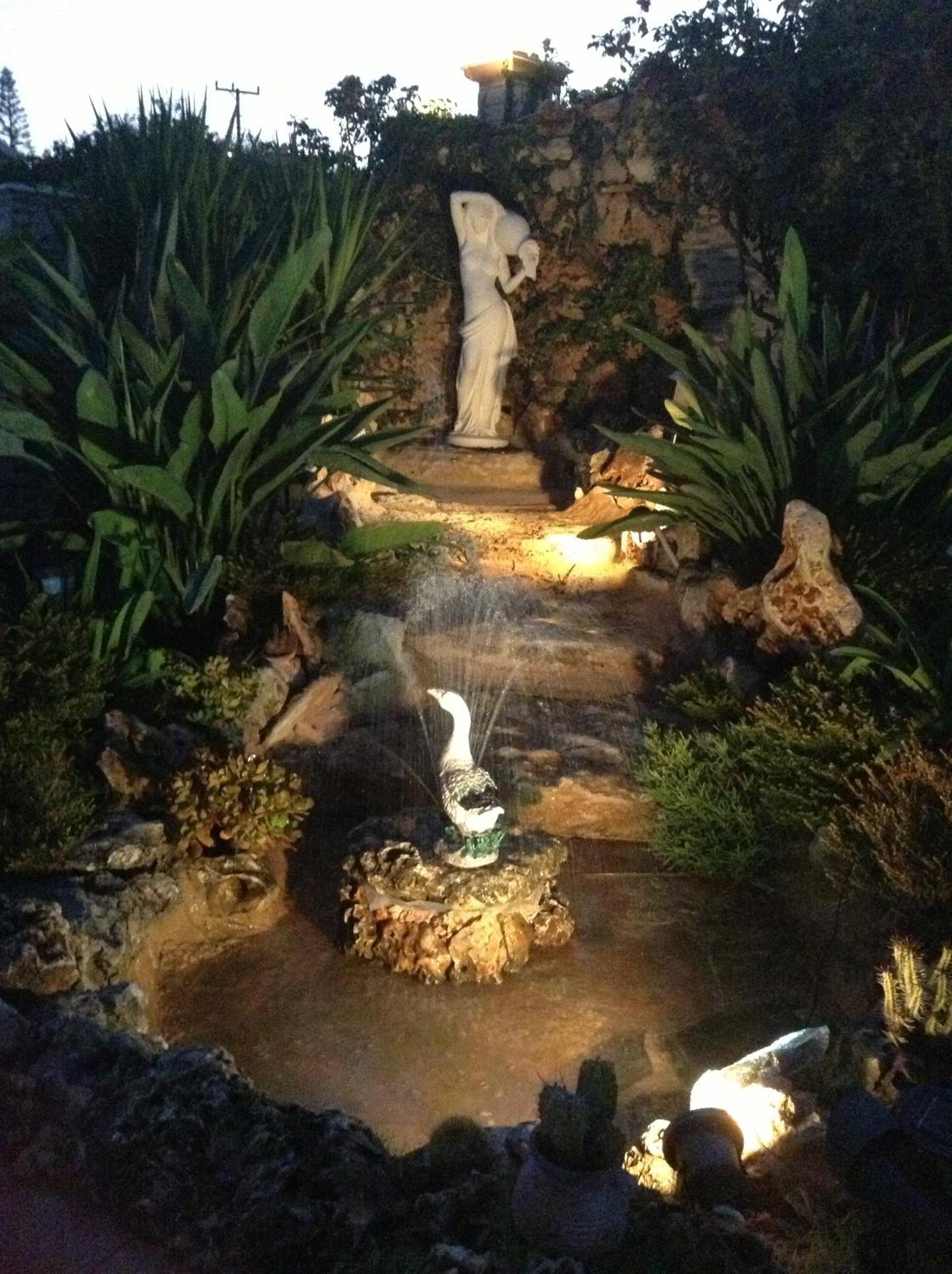 Photo 26