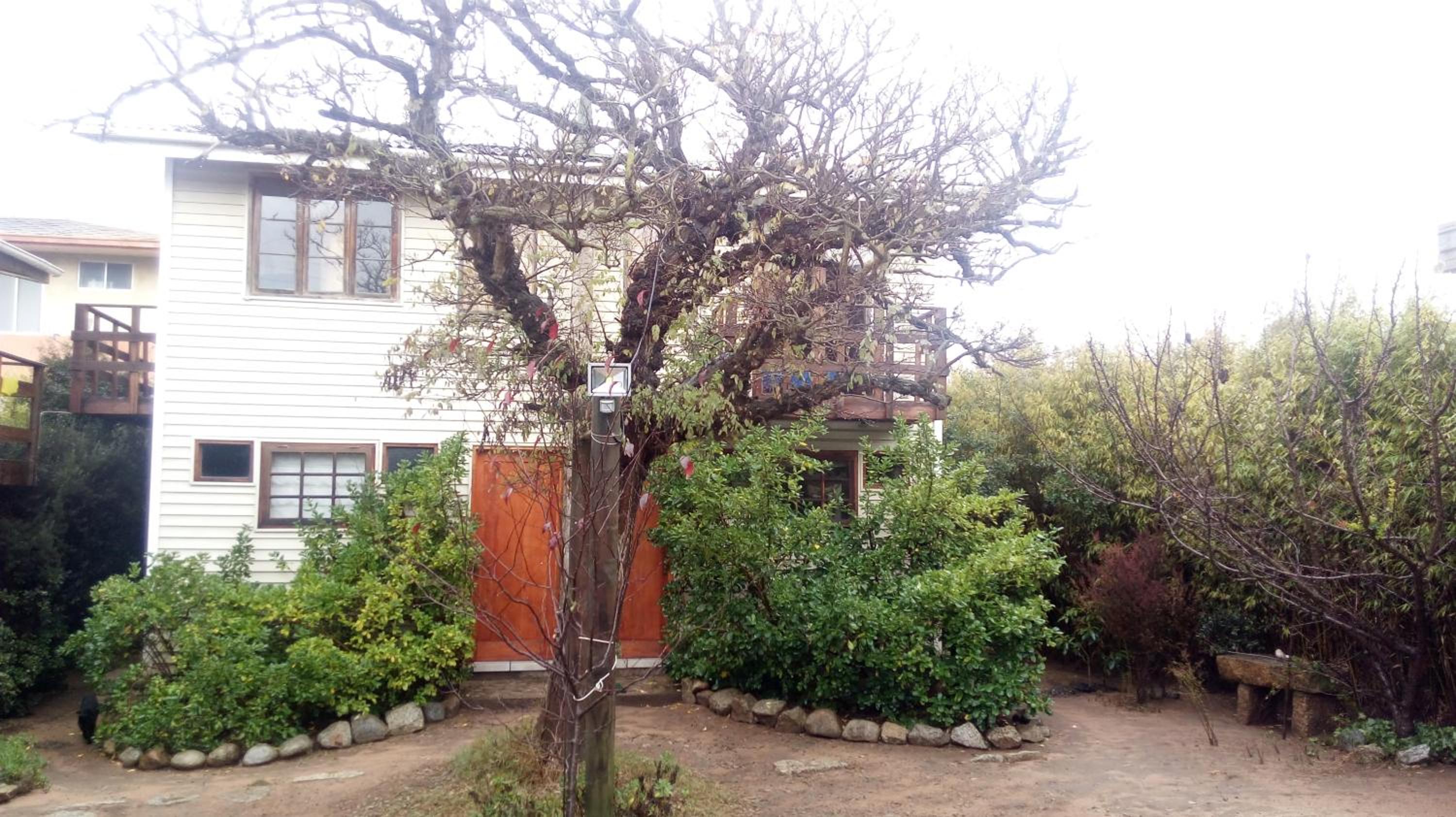 Algarrobo Suites