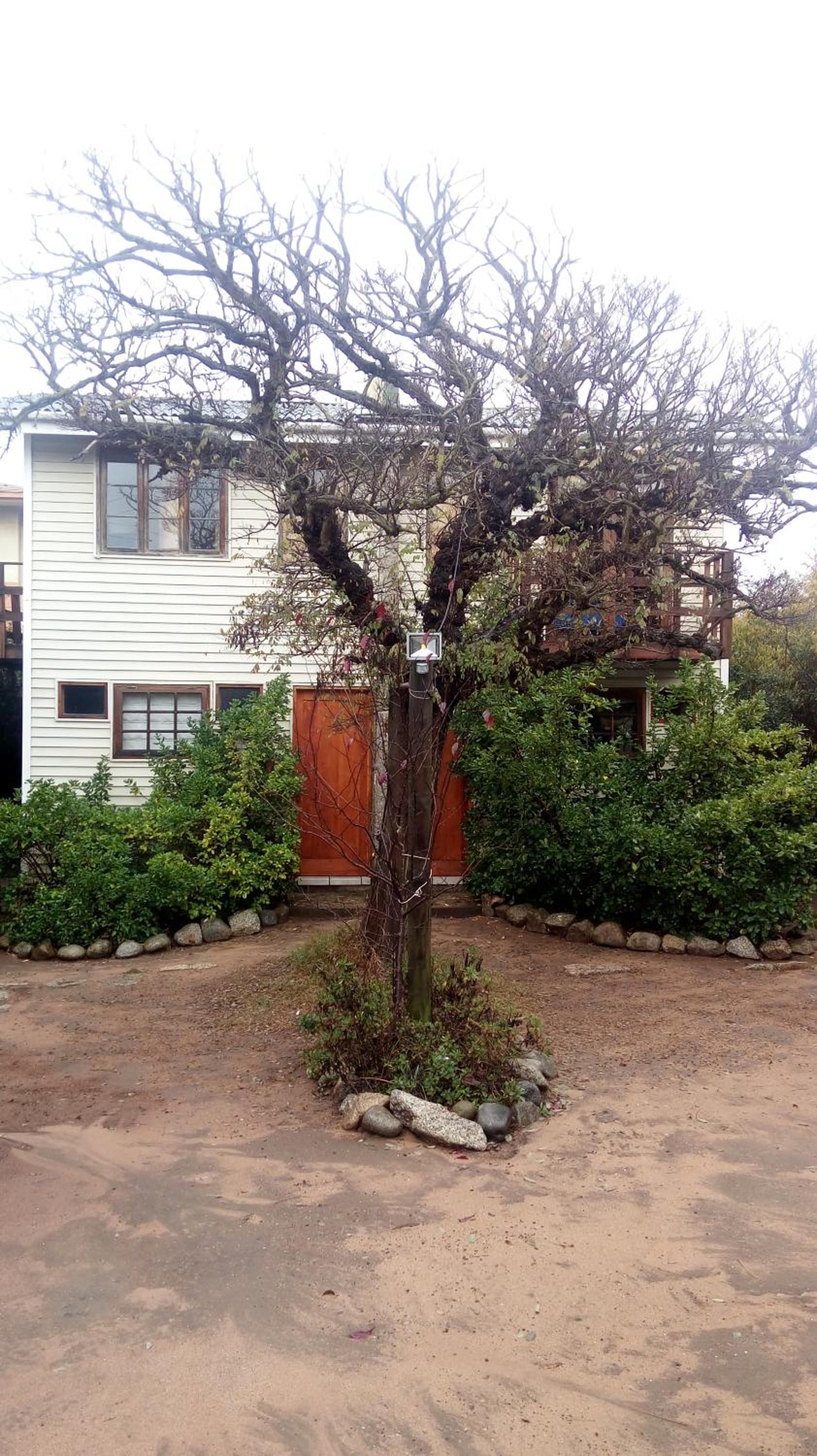 Algarrobo Suites