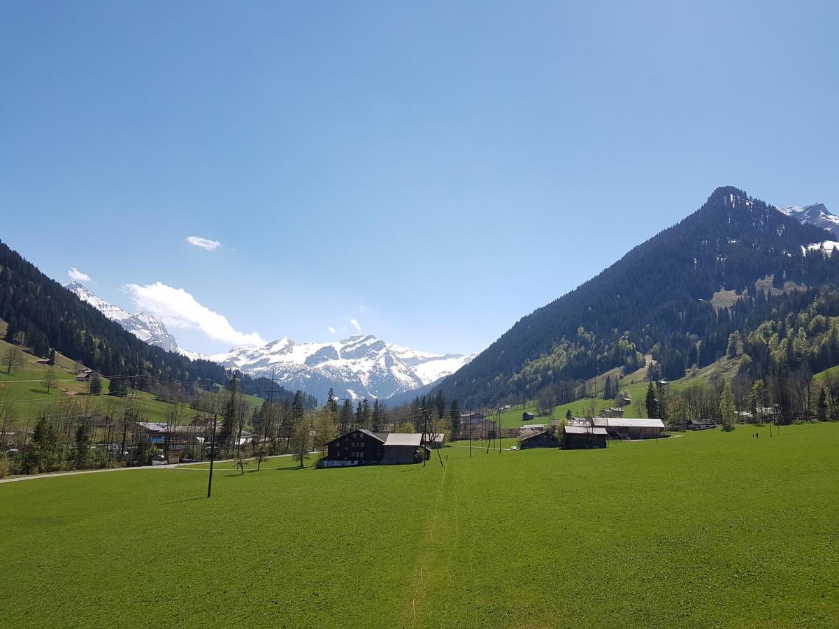 Farfalla view 3