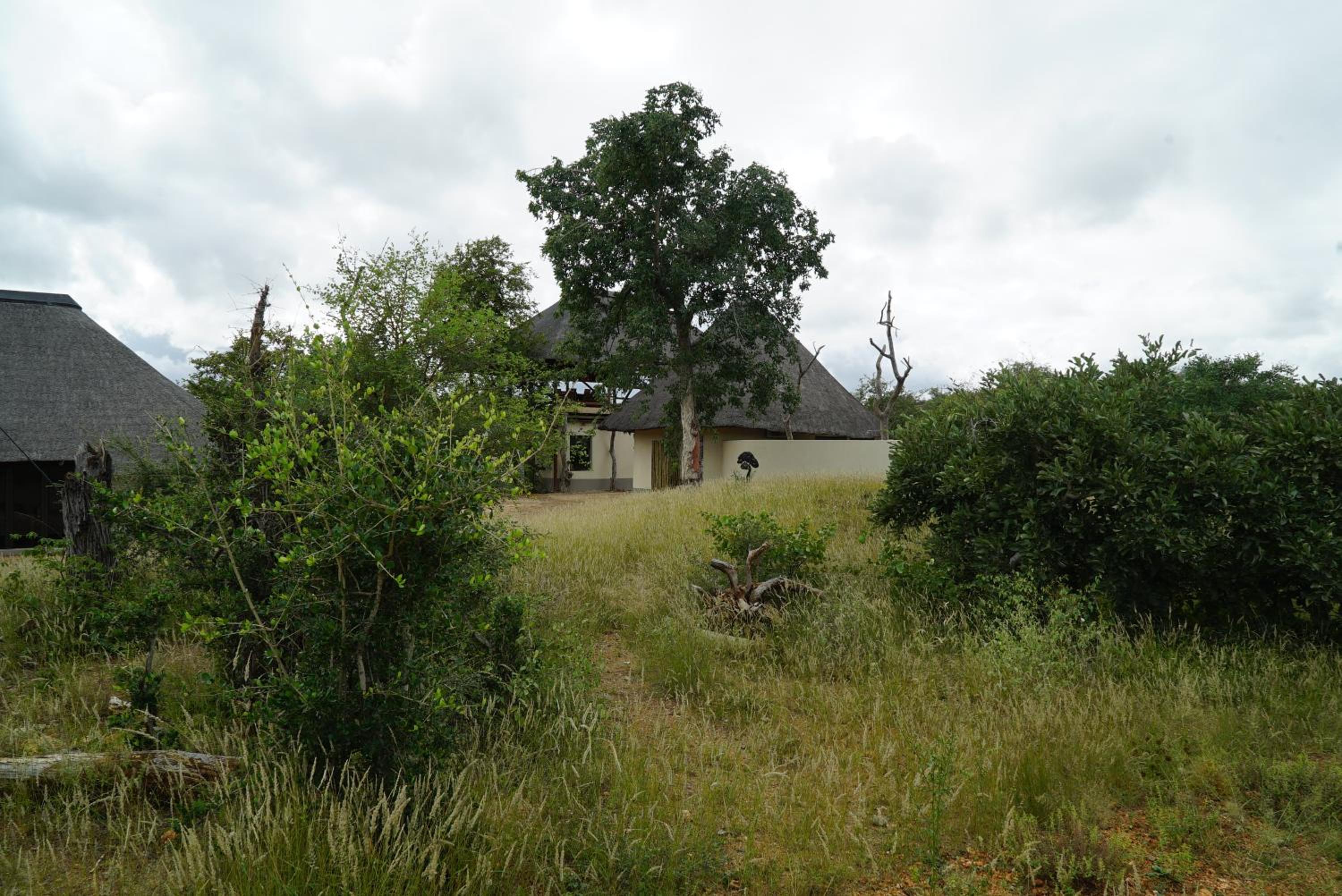 Photo 46