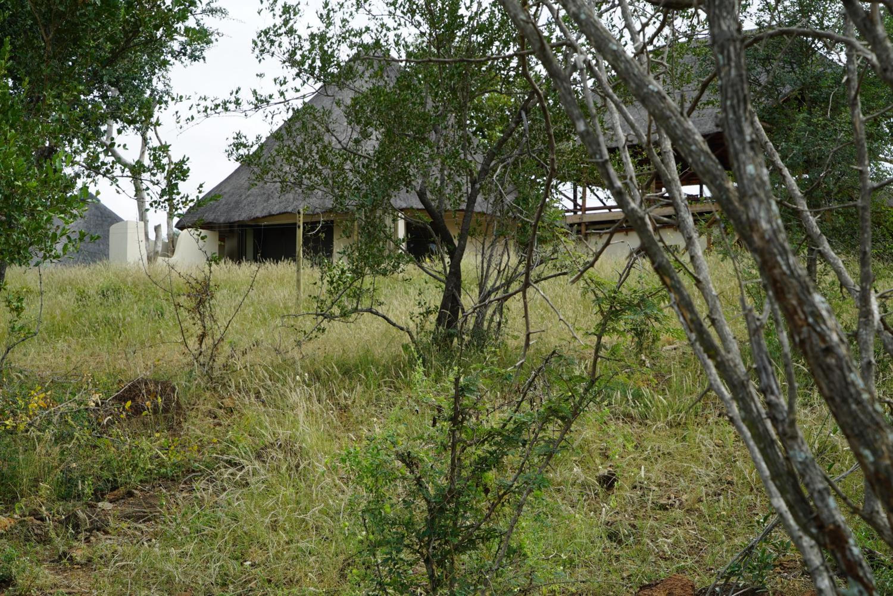 Photo 48