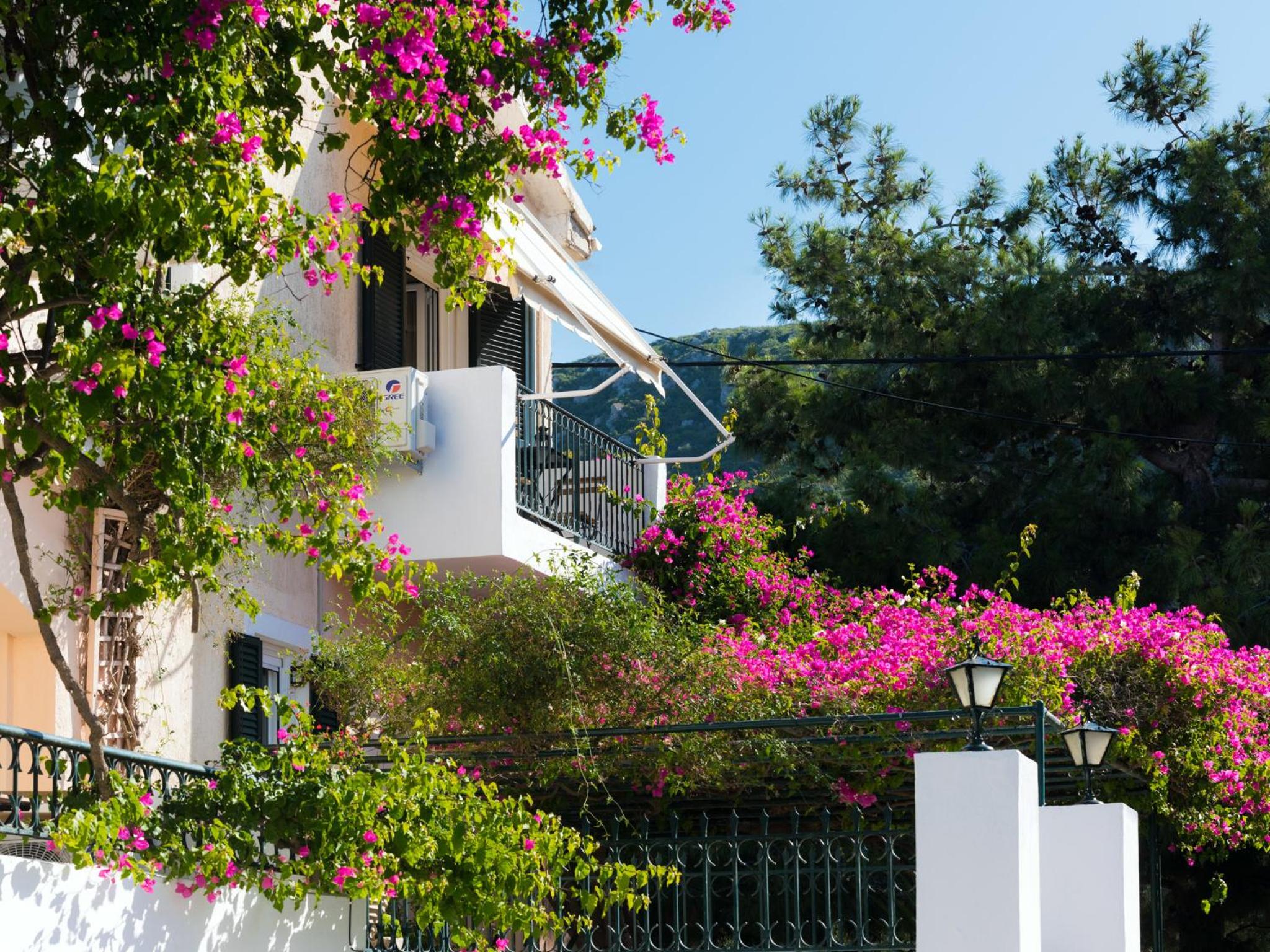 Photo 55