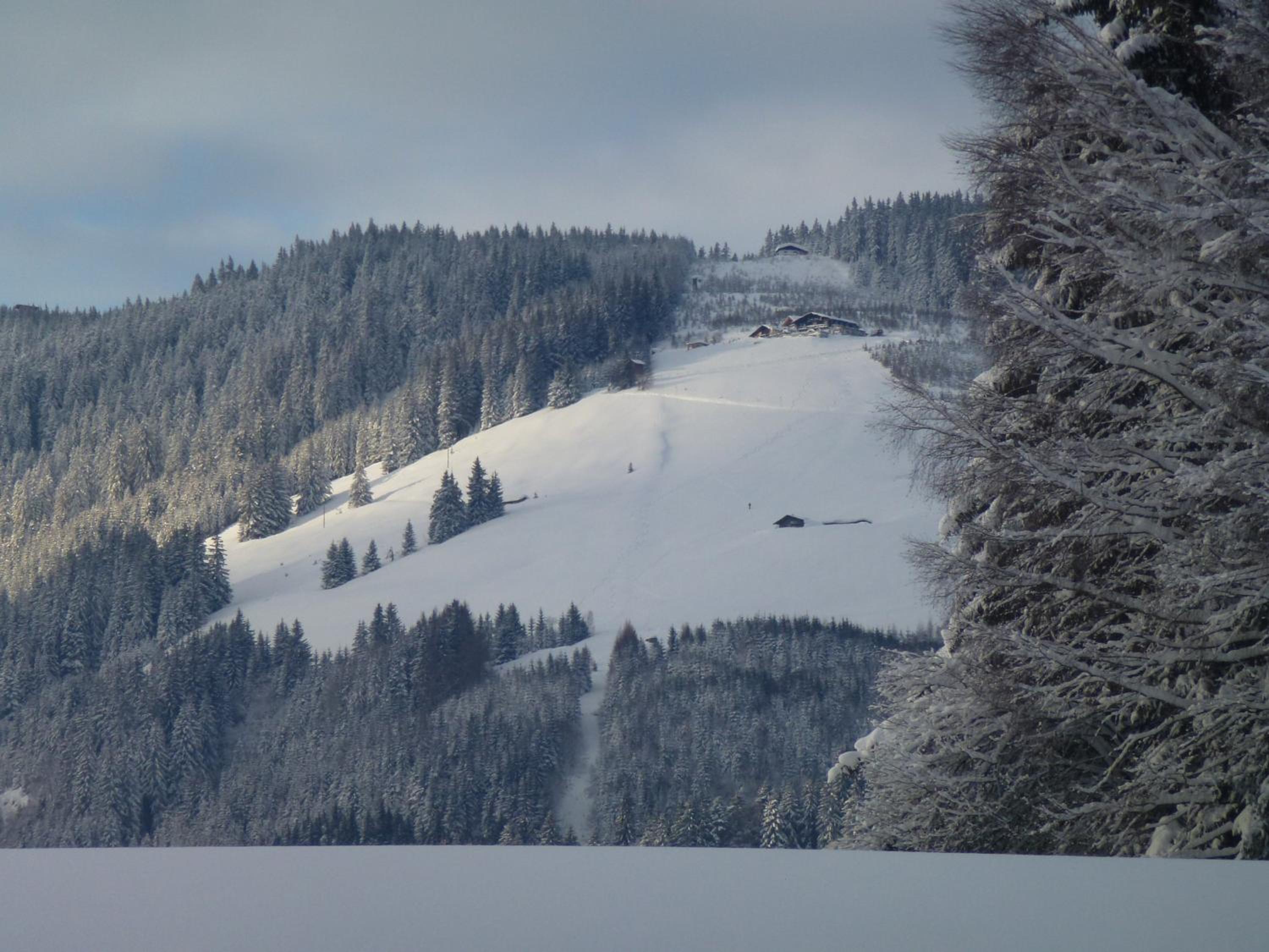 Wiesingbauer