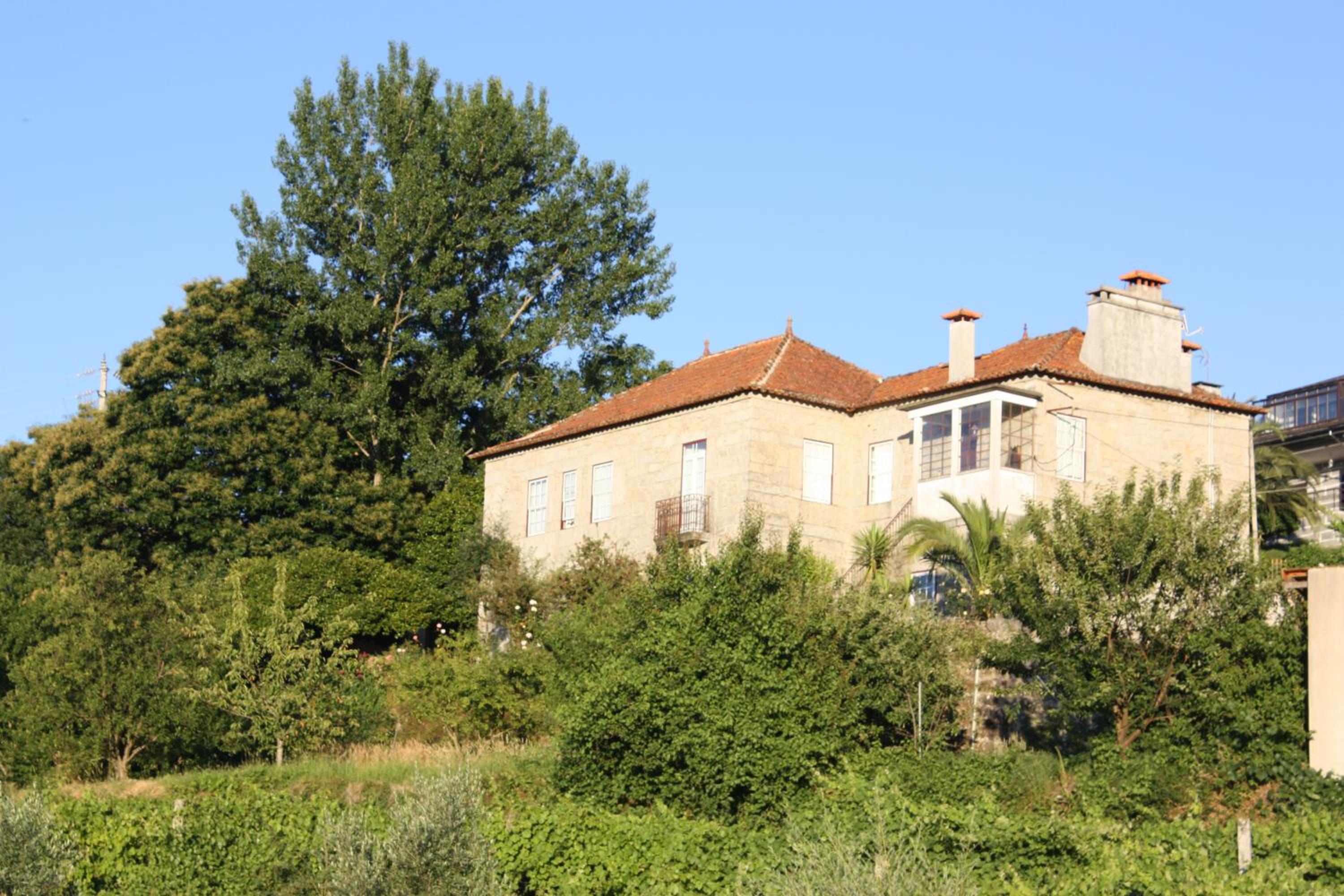 Photo 41