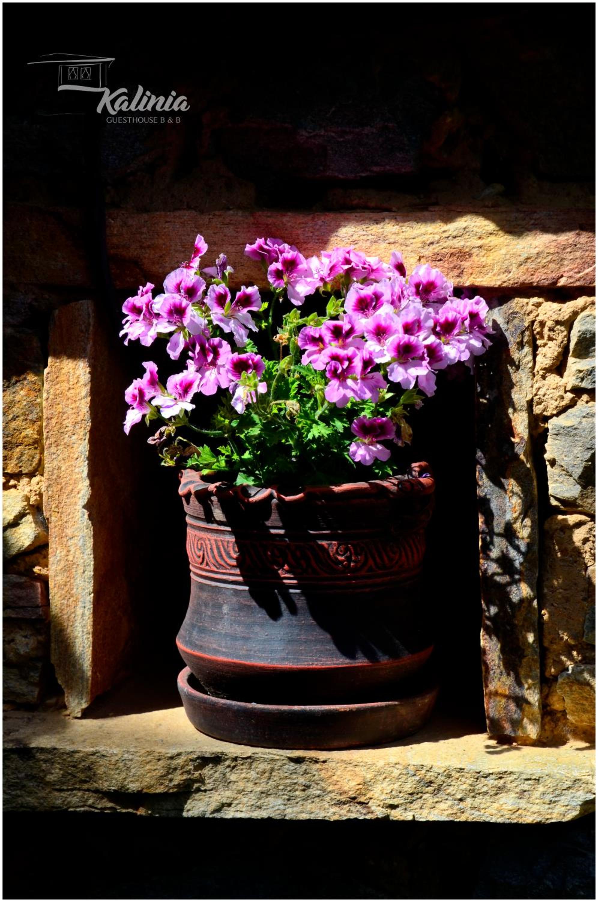 Kalinia Guesthouse B&B