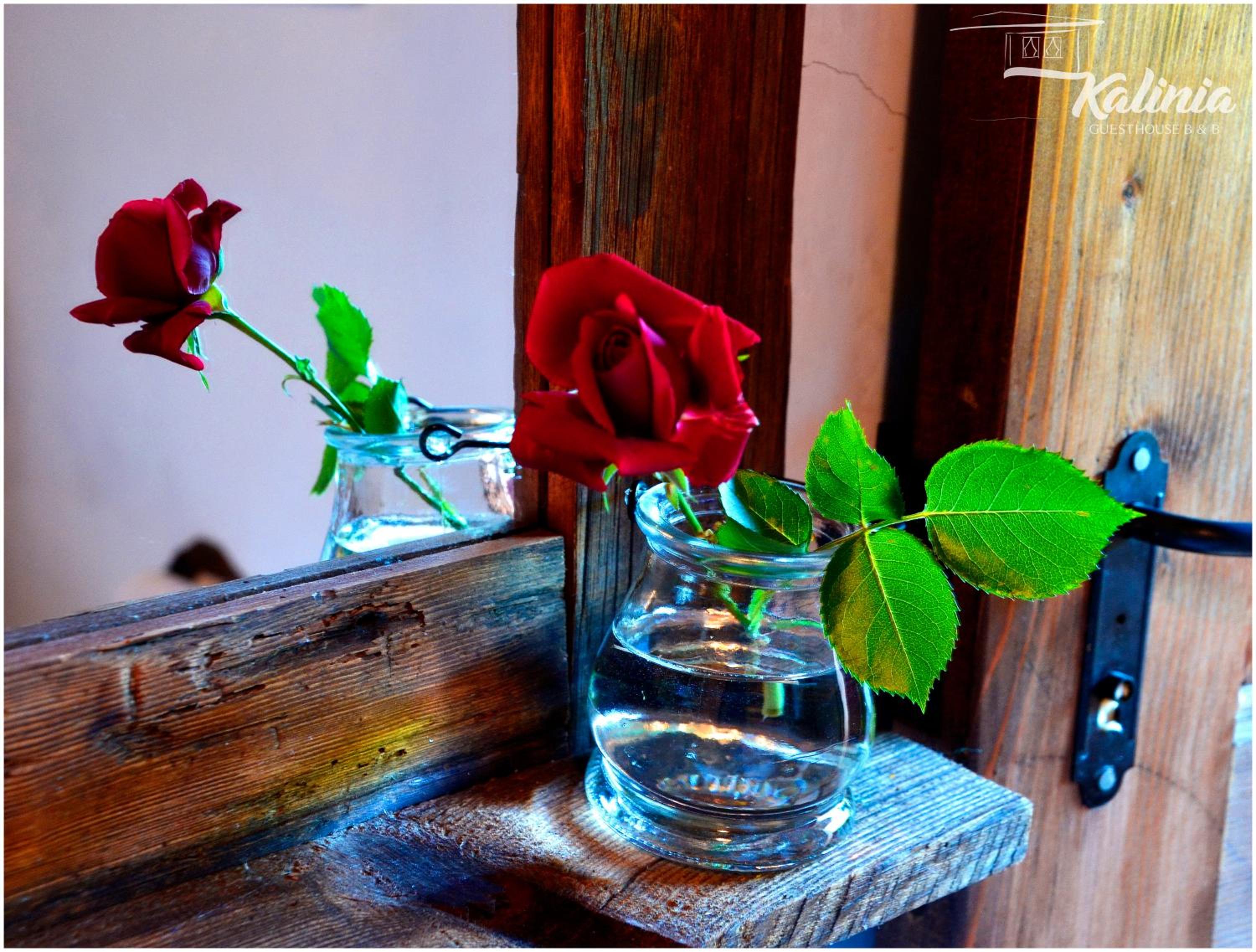Kalinia Guesthouse B&B
