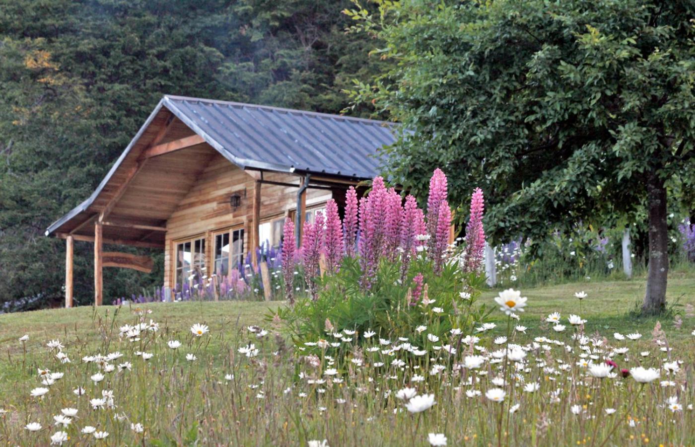 Mallin Colorado Ecolodge
