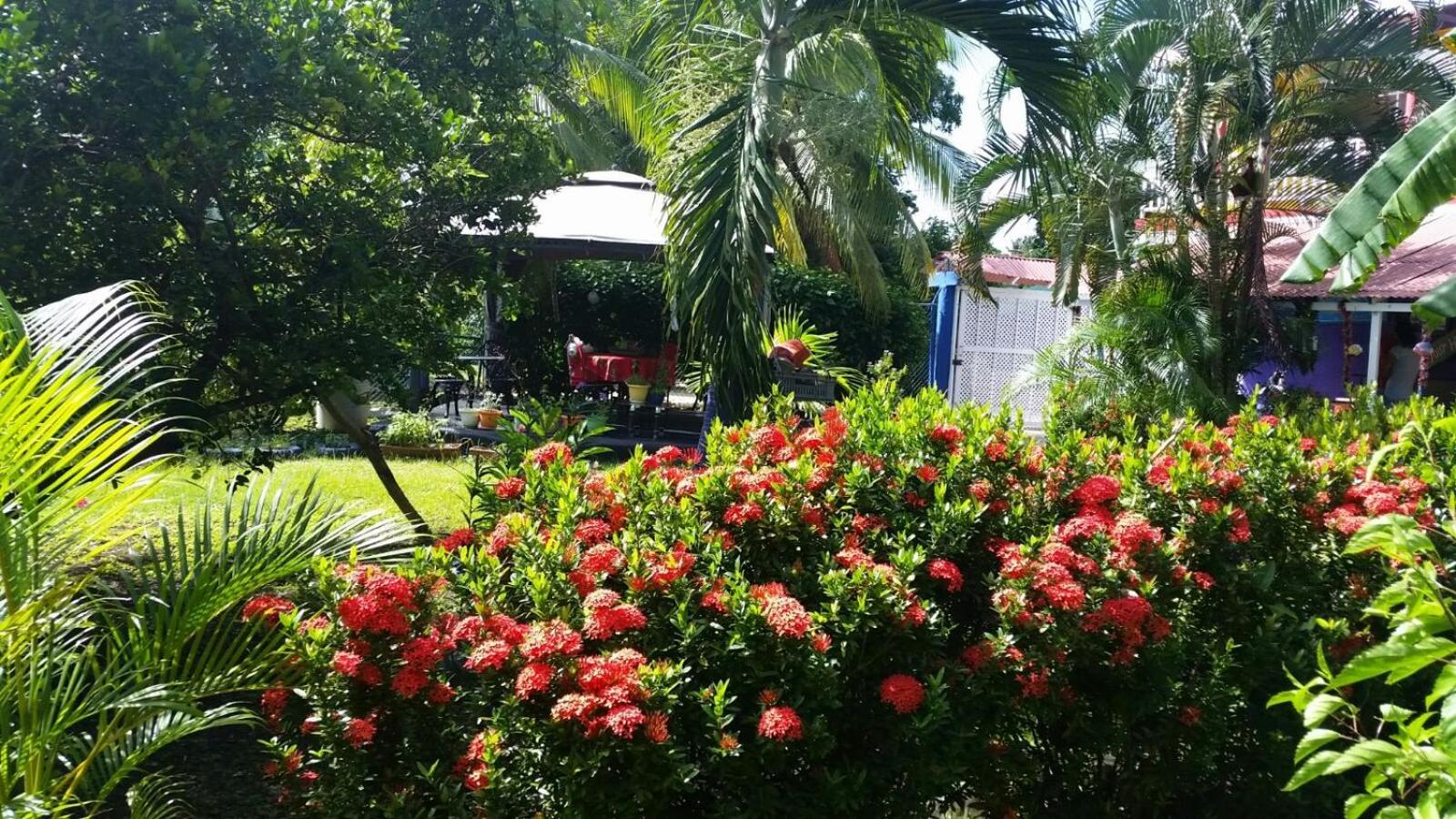 Posada Nativa Licy view 3