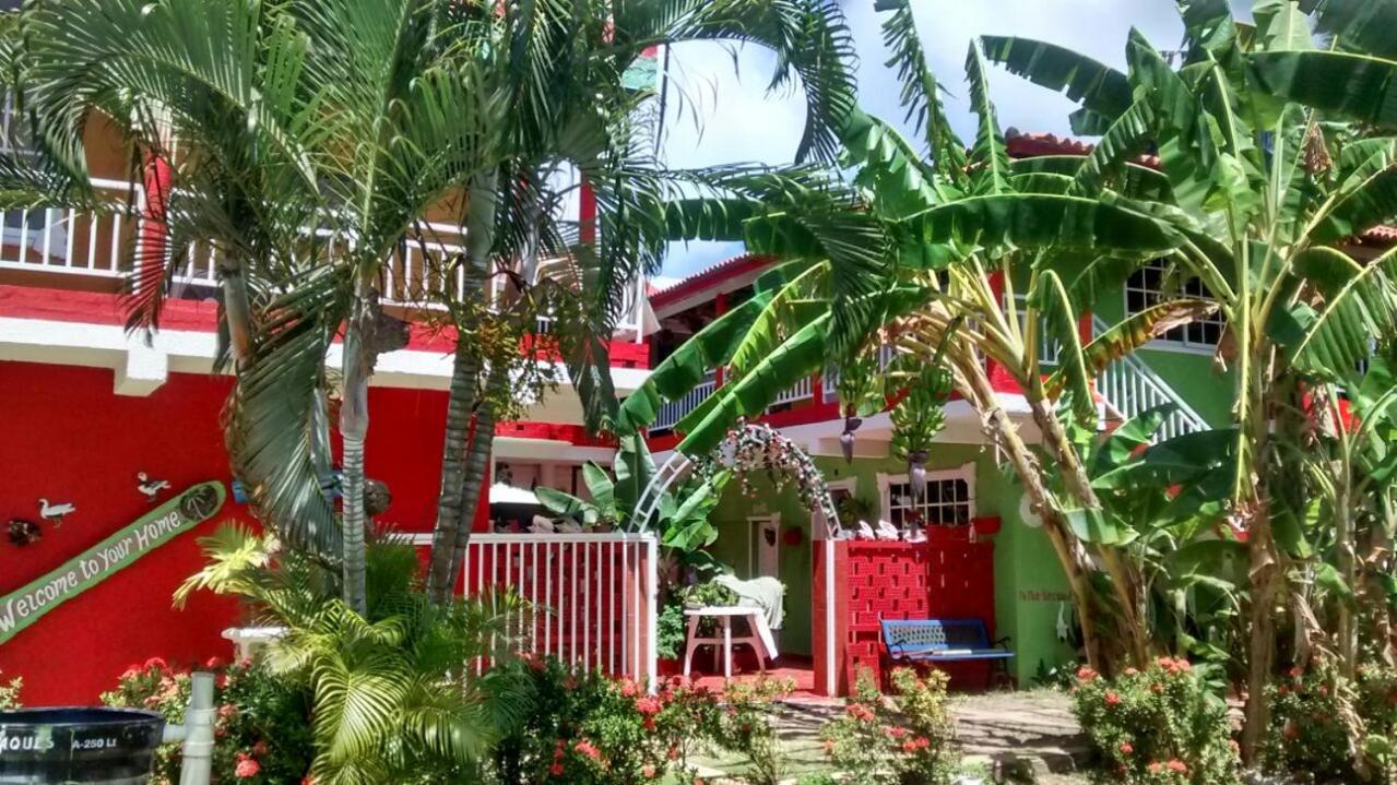 Posada Nativa Licy view 2