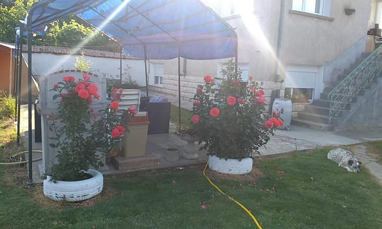 Rogozen guesthouse