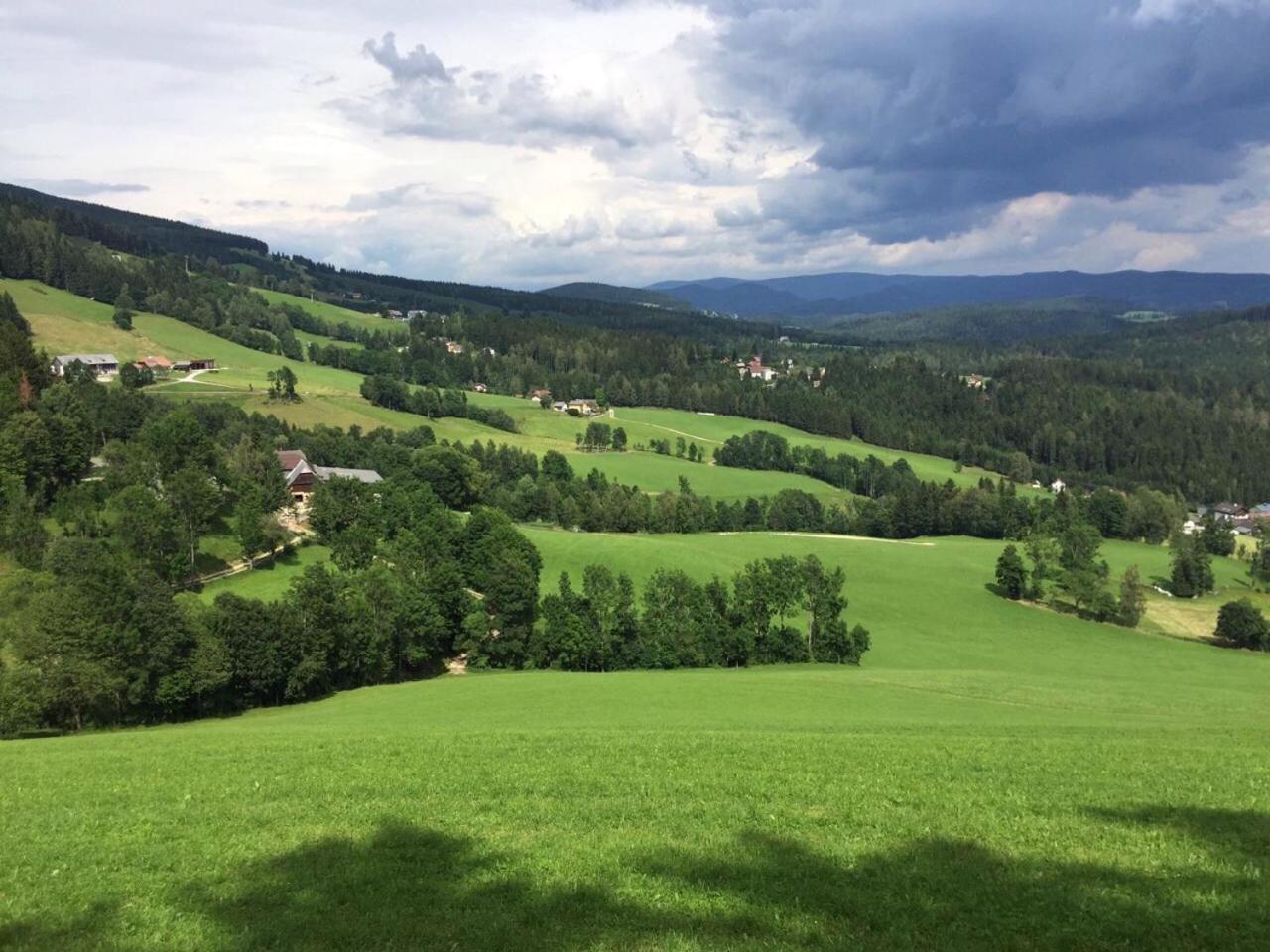 Glückliche Elfen