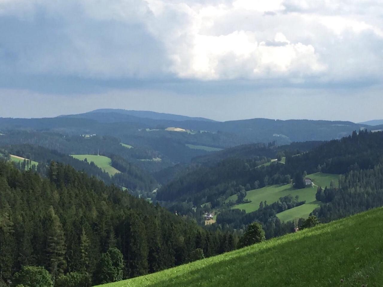 Glückliche Elfen