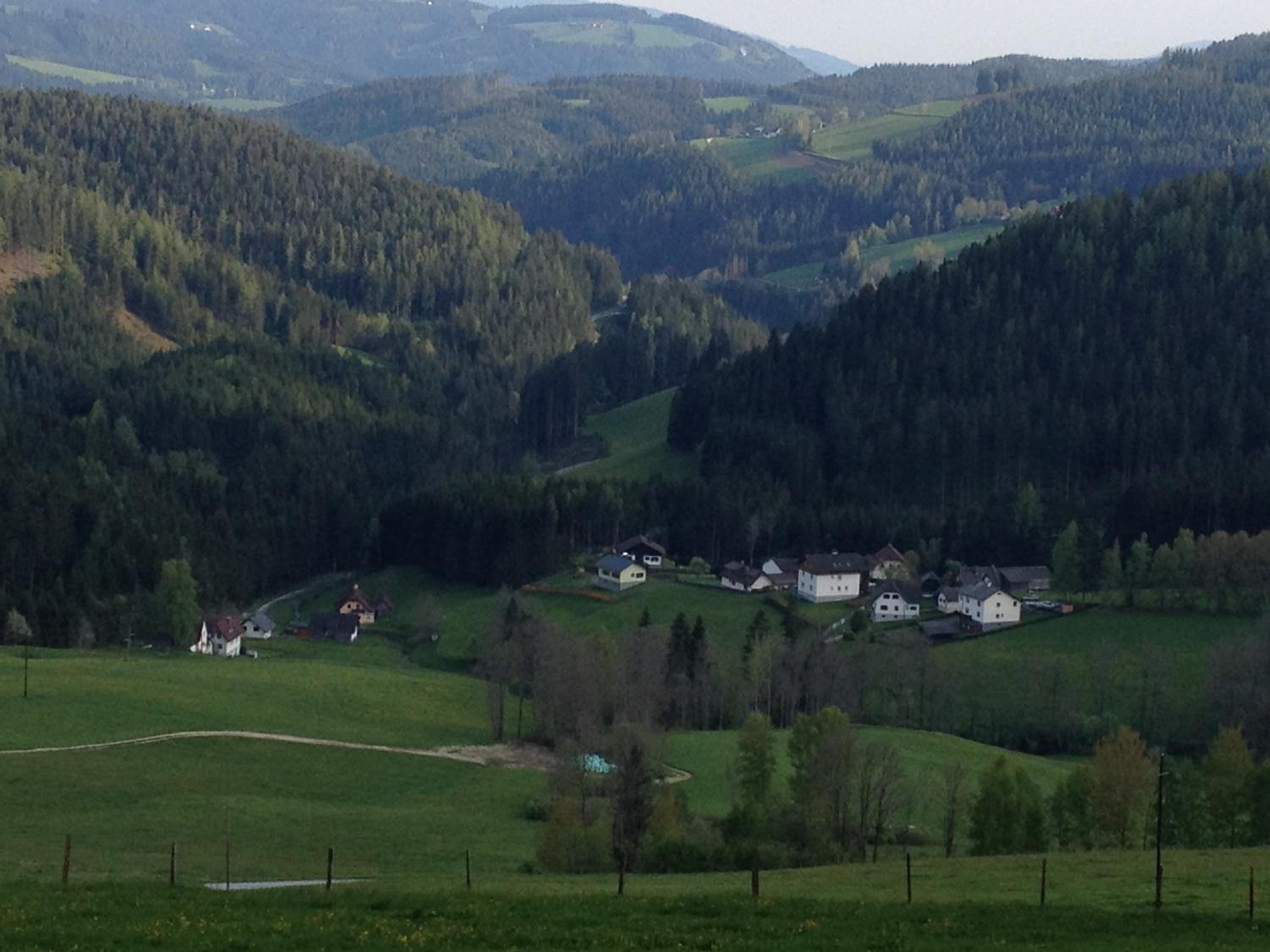 Glückliche Elfen
