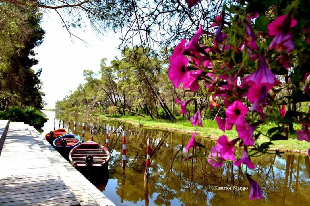 Guesthouse Anila