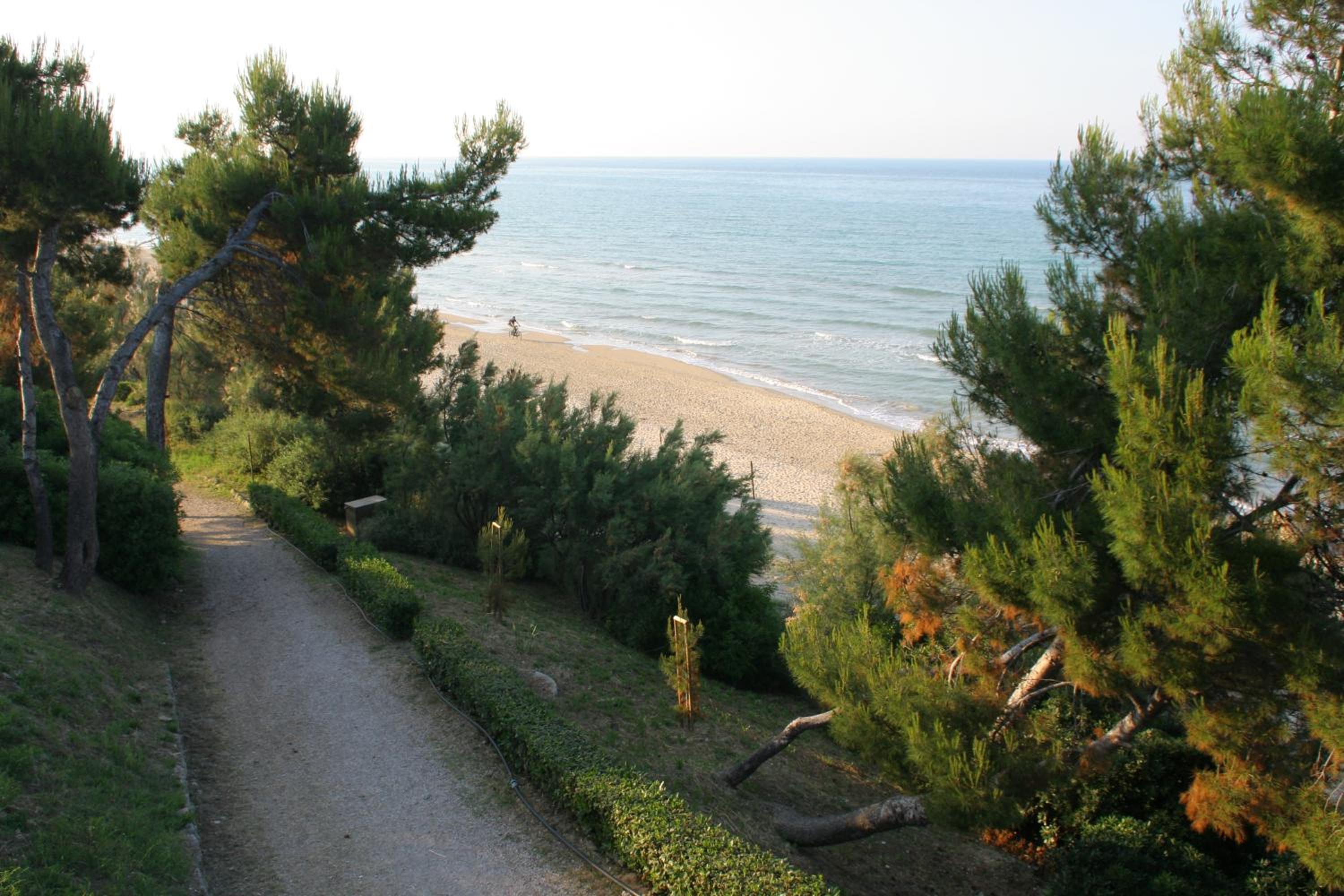 Photo 41