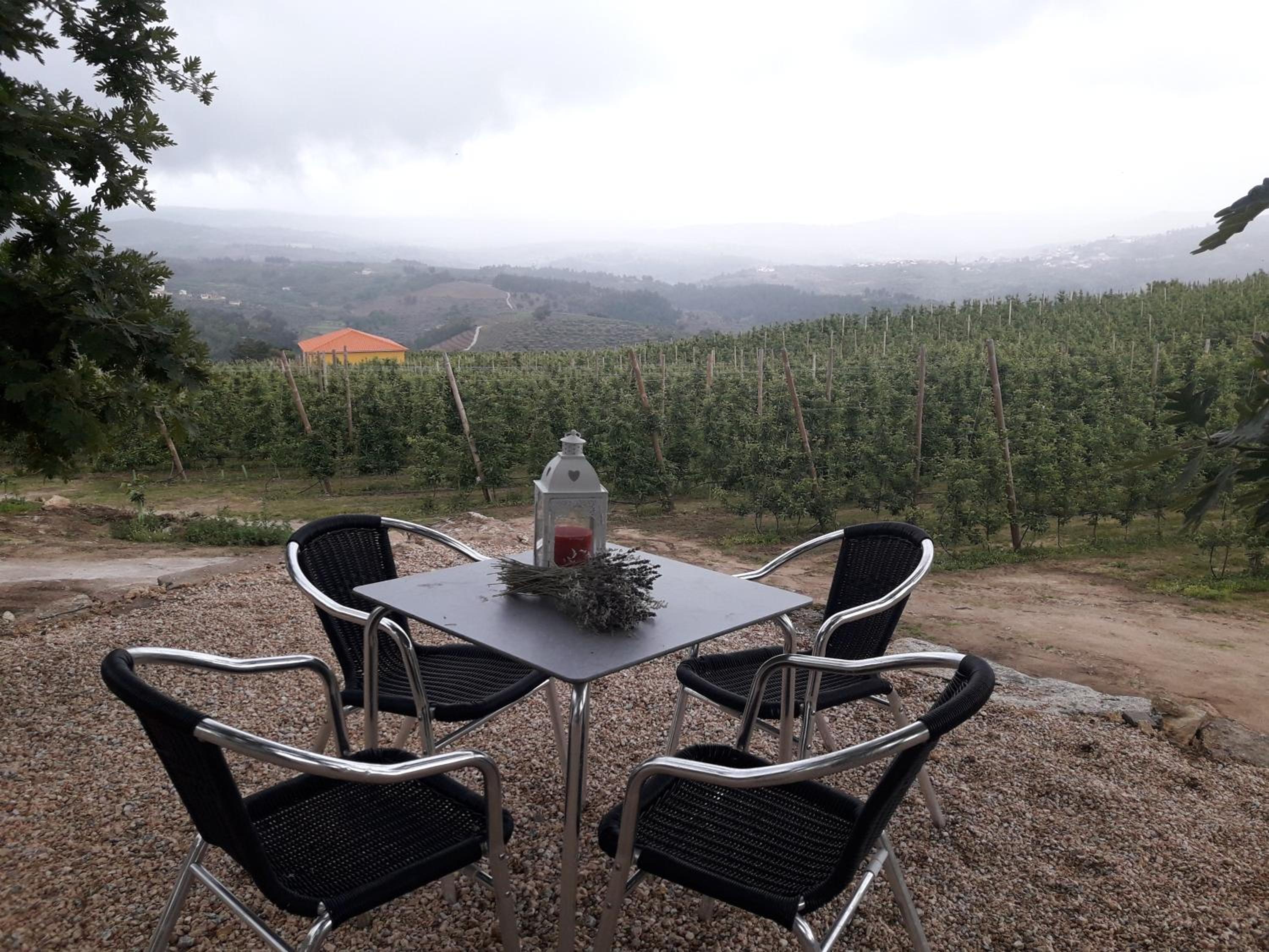 Quinta da Cabrida - Casa do Feitor - Douro en Sendim