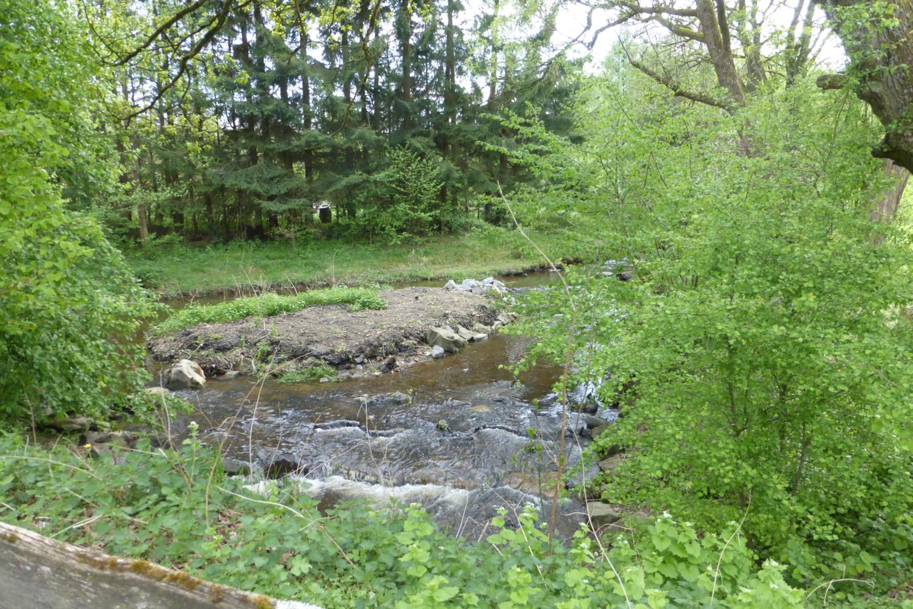 Photo 28