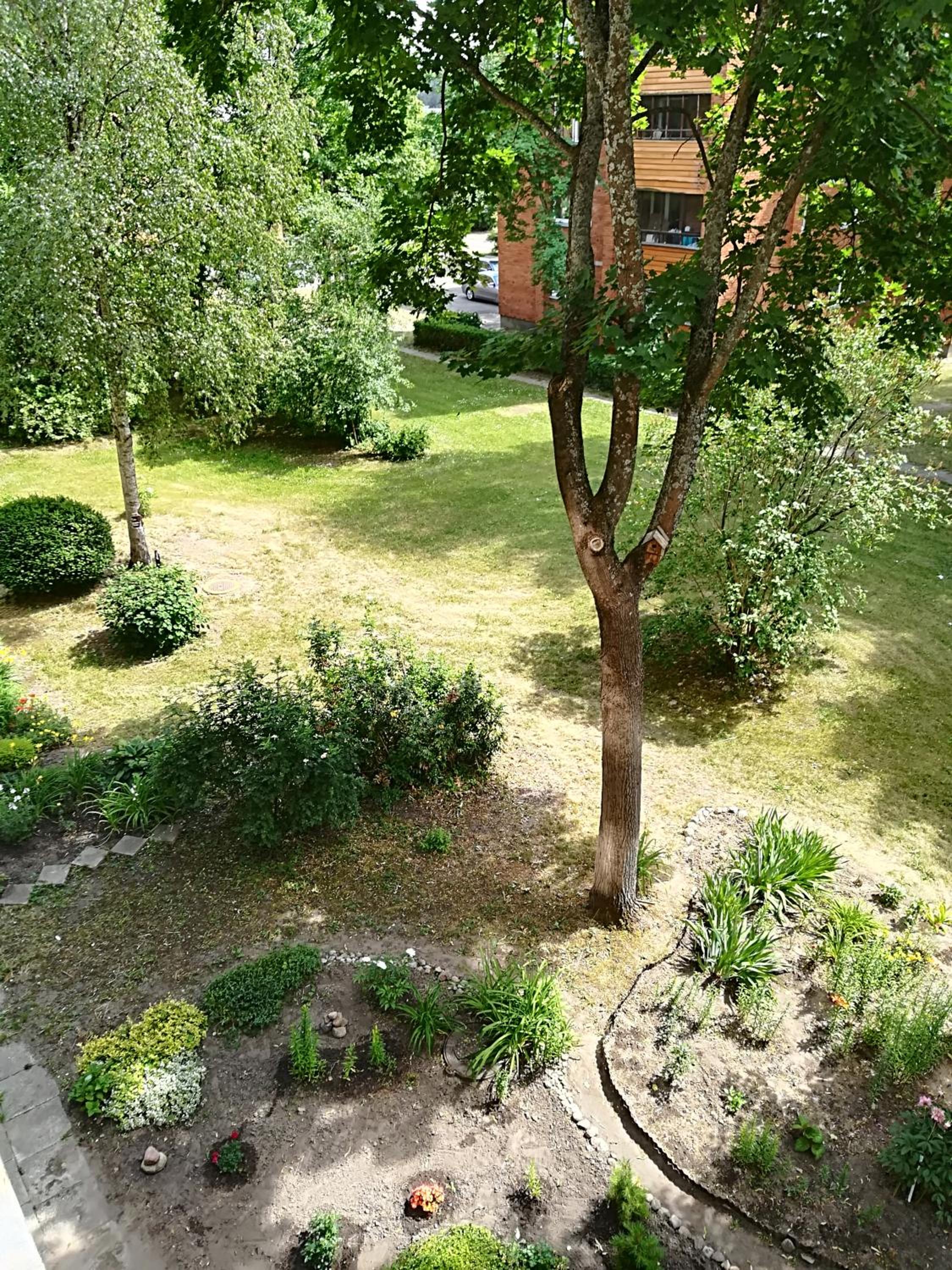 Amber apartamentai view 5